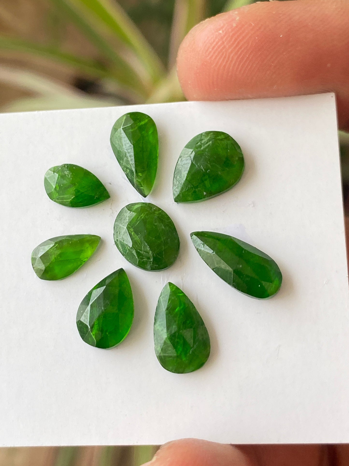 Marvellous Rare chrome diopside rosecut pear  vivid green color weight 16 carats size 6x5mm-13x6mm pcs 8 Chrome diopside rosecut