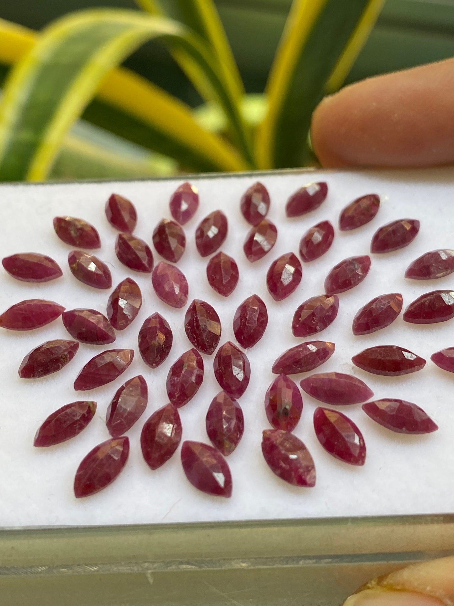 Vivacious Rare Natural  ruby marquees cut small size 7.9x4.3mm-8.3x4.3mm weight 36 carats Natural ruby marquees cut unheated untreated ruby