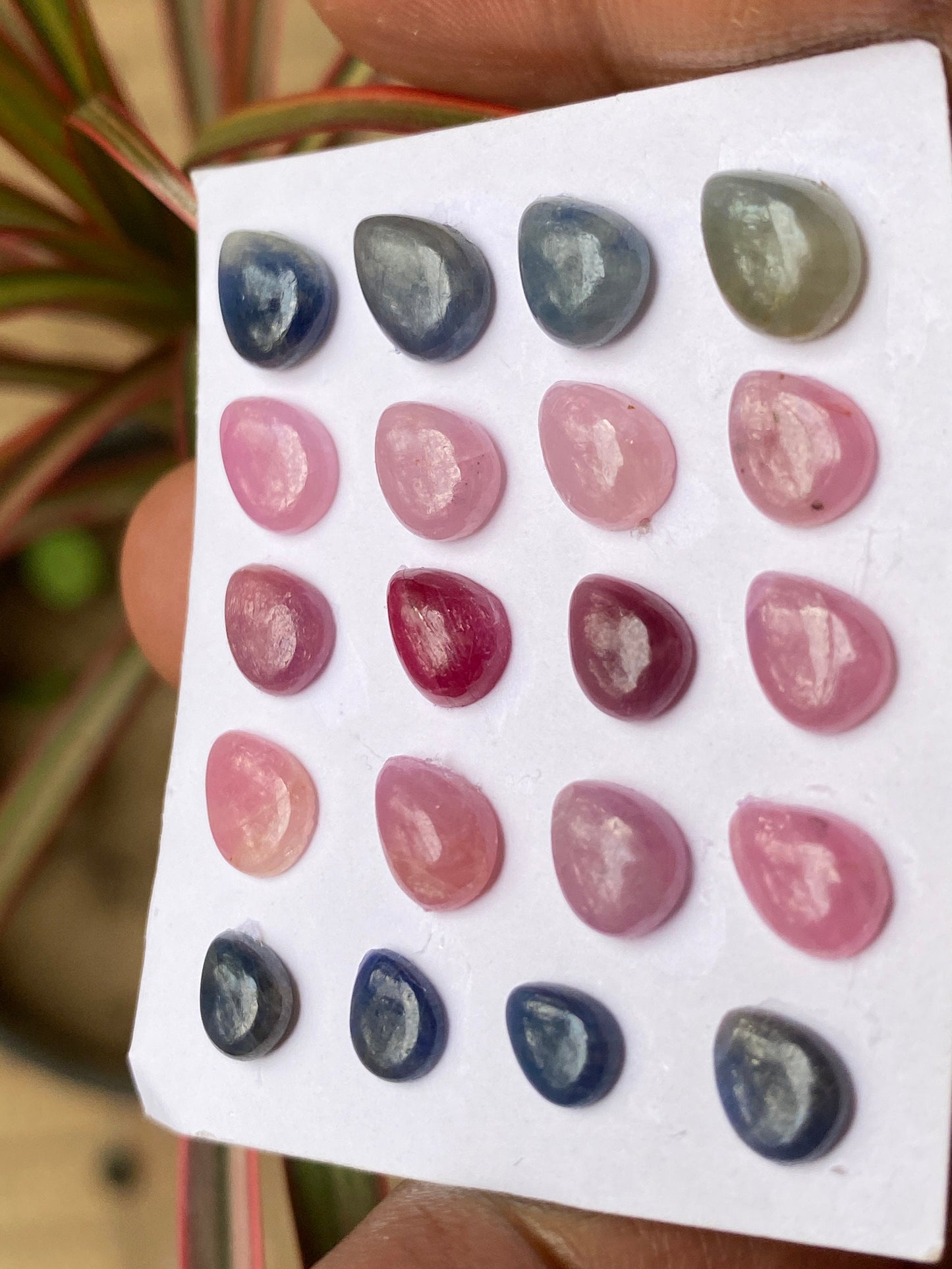 Alluring rare small rosecut pink blue sapphire colorful wt 26 cts size 6.8x5.5mm-9.2x6.5mm pcs 20 rosecut sapphire multi sapphire oval round