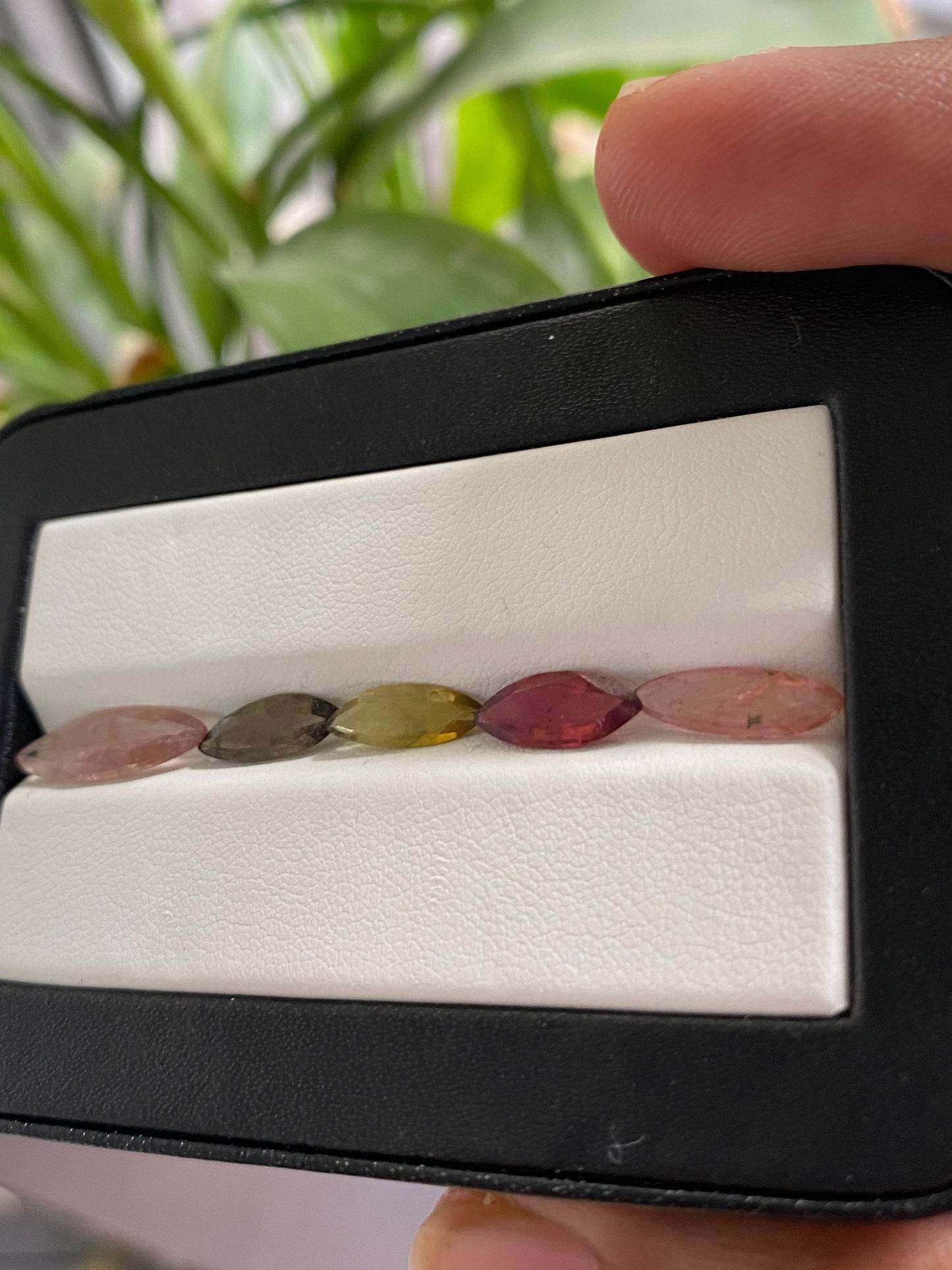 Fabulous  Rare Watermelon Tourmaline marquise cutstones pcs 5 wt 4.10 cts 11x4-16x5mm tourmaline cutstones bi color tourmaline