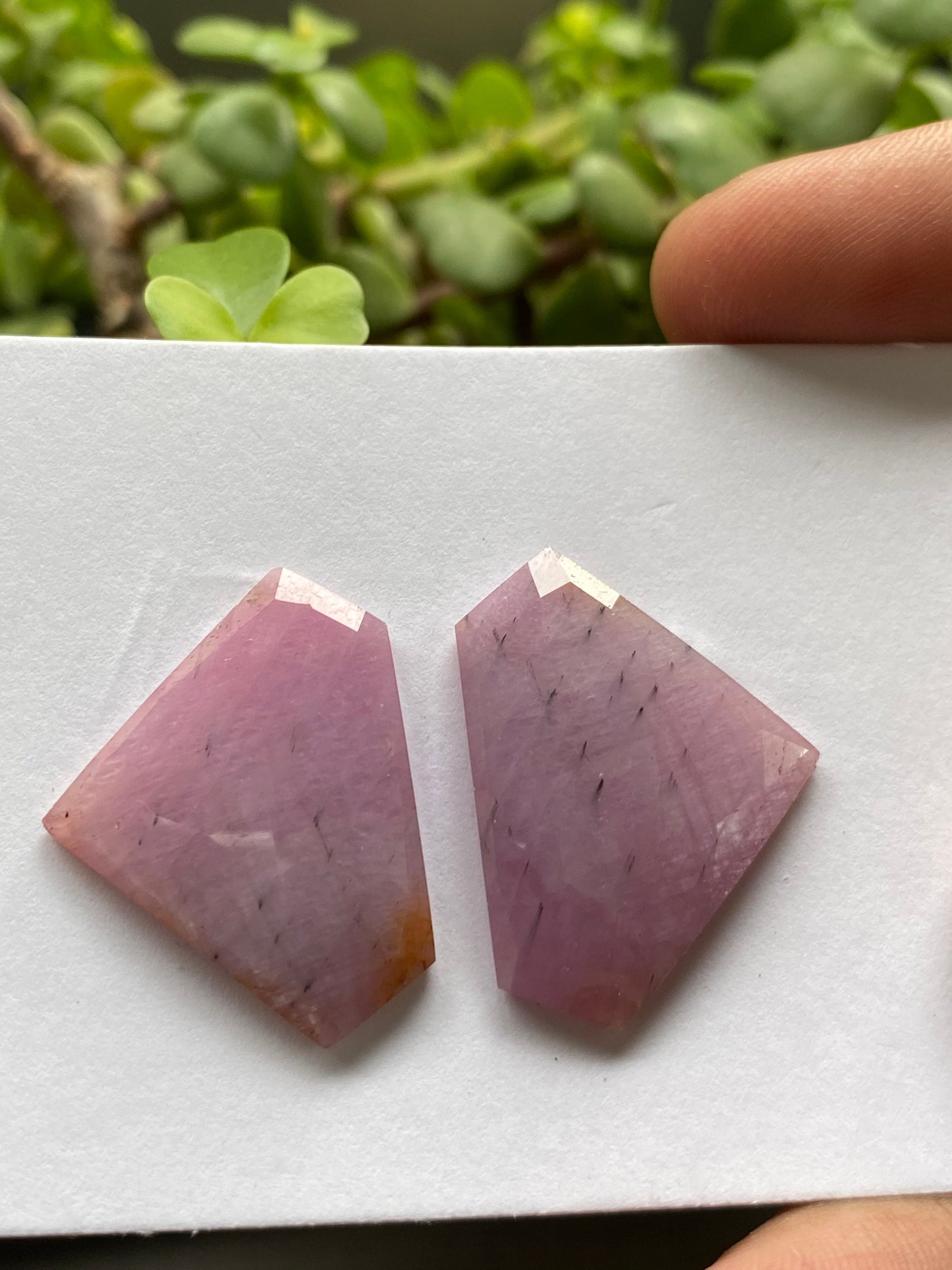 Very rare fancy pink Sapphire rosecut earring pair weight 53.15 carats size 30.5x23mm rare unheated sapphire fancy matched pair