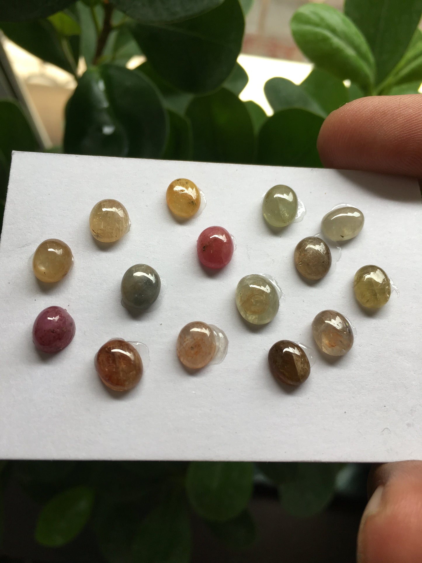 Natural umba sapphire cabochons wholesale lot weight 32.60 carats size 7.6x6.3mm to 8.7x7.4mm pcs 15 natural unheated untreated sapphire