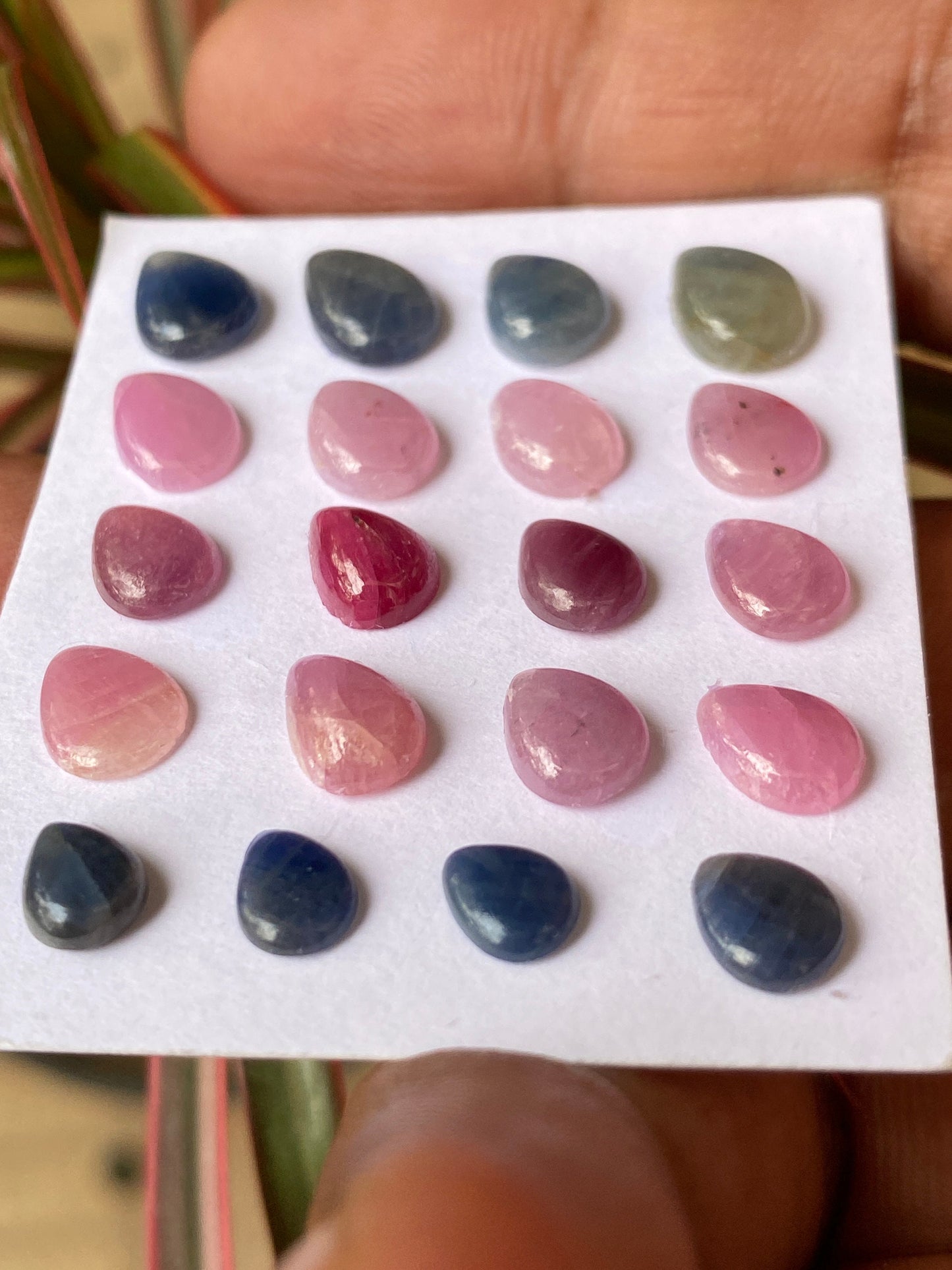 Alluring rare small rosecut pink blue sapphire colorful wt 26 cts size 6.8x5.5mm-9.2x6.5mm pcs 20 rosecut sapphire multi sapphire oval round