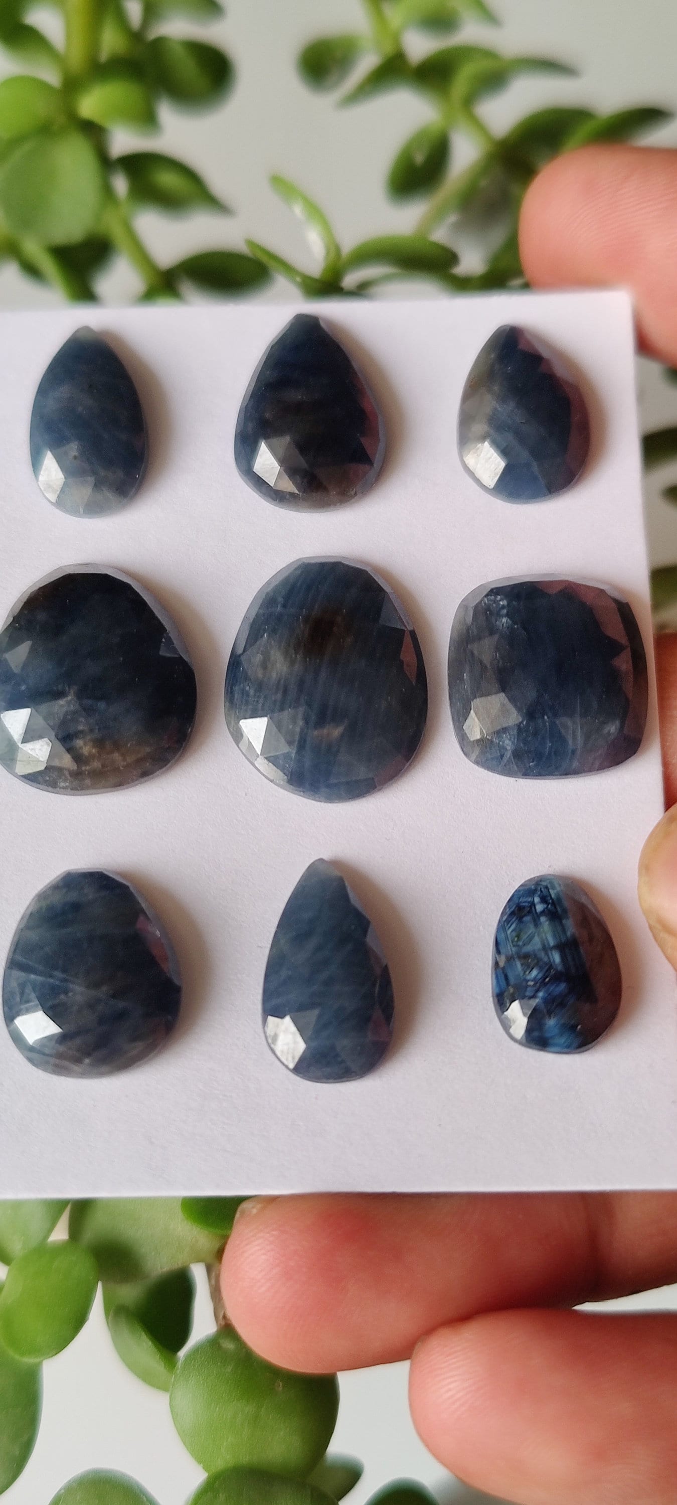 Stunning Natural unheated untreated blue sapphire rosecut wt 103 carats pcs 9 size 15x10mm-21x16mm  unheated blue sapphire rosecuts