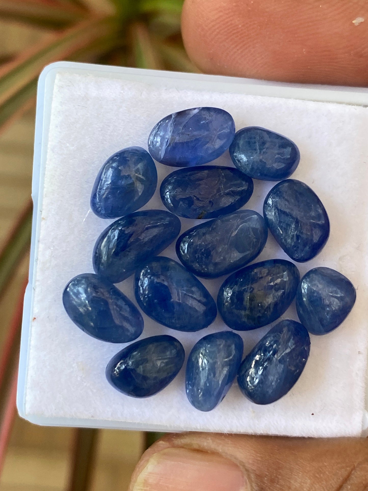 Gorgeous Natural Burma Very Rare Blue sapphire flat unshape cabochons size 9.2x6.2-10x6mm wt 38.5 cts pcs 14 Burma mines sapphire cabochon