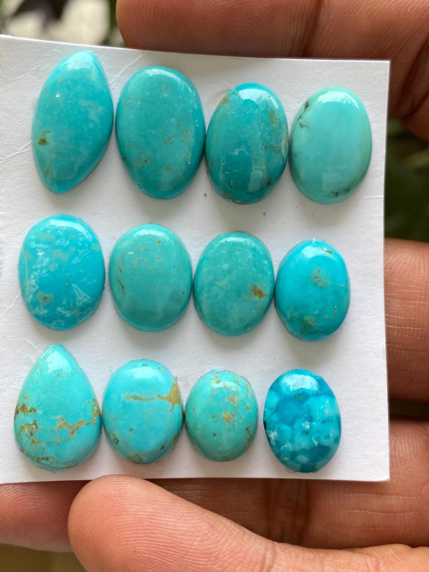 Fabulous rare Arizona  mines Turquoise cabochons natural smooth polished mix shapes pcs 12 wt 68 carats 12x10-17x12mm turquoise cabochons