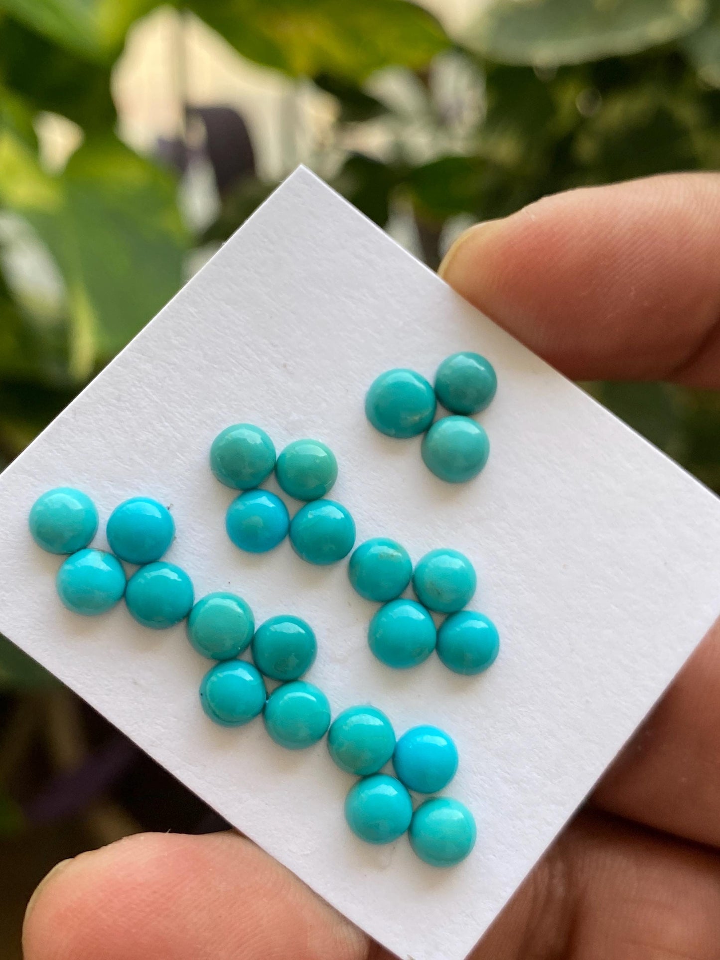 Gorgeous Rare Arizona mines Turquoise round cabochons  natural smooth polished pcs 23 wt 11.80 carats 4.5mm-5.5mm turquoise cabochons