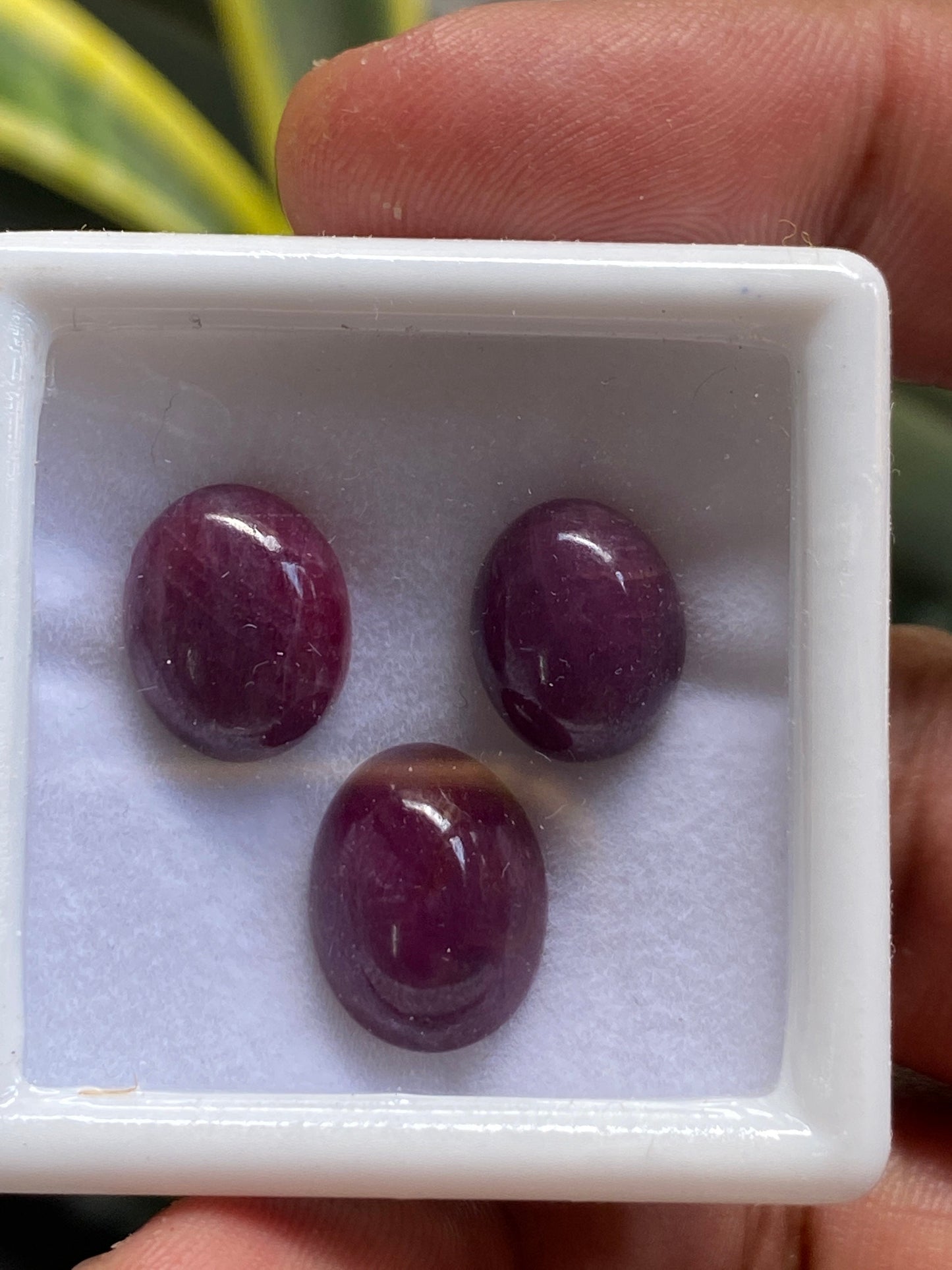 Natural Ruby Cabochons Smooth Polished Wholesale Good Color Good Size  Unheated Untreated Ruby cabochon