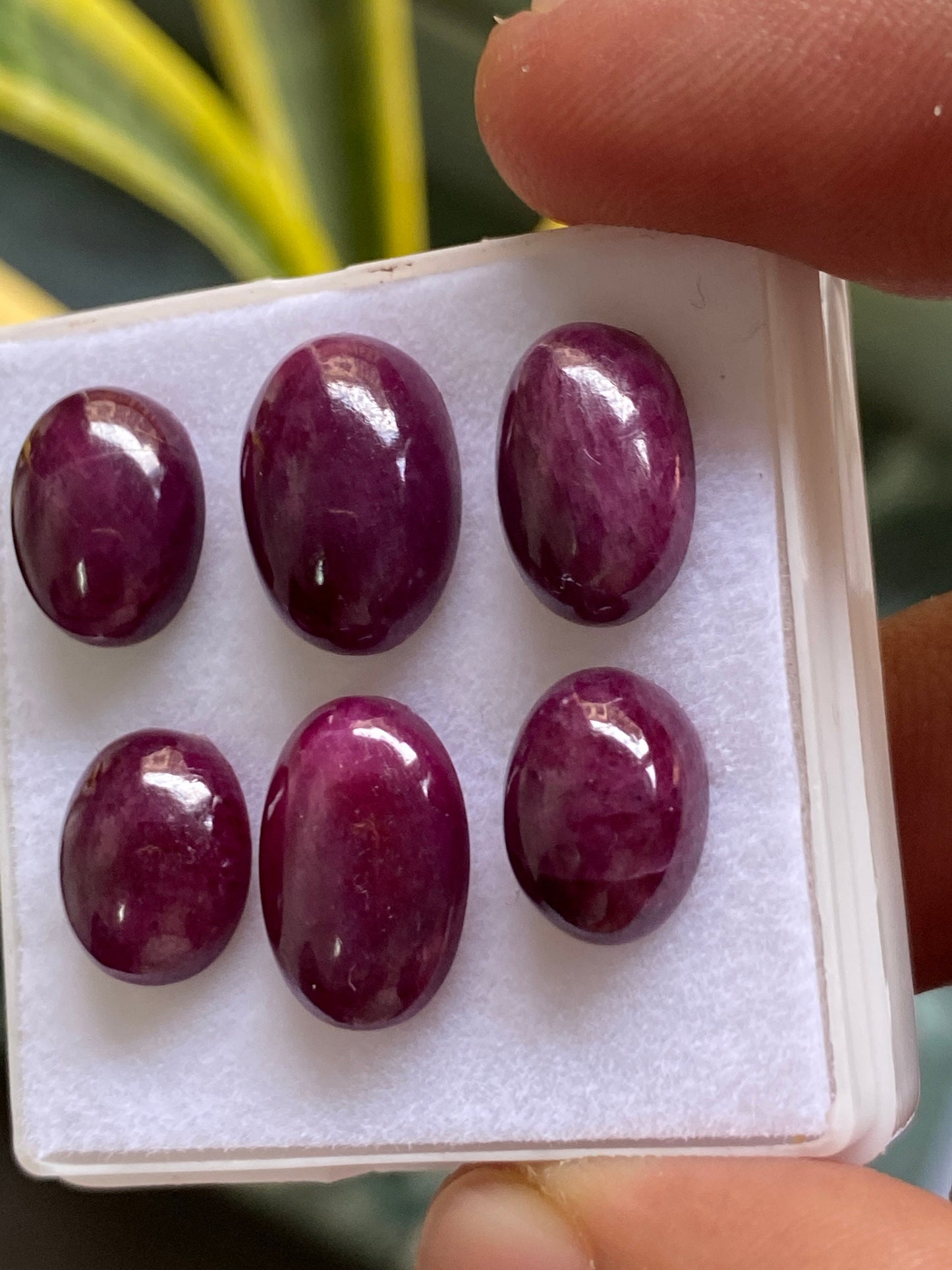 Vivacious very rare natural ruby cabochons tanzania mines lot oval pcs 6 wt 52 carats size 11x9mm-14x10mm unheated untreated ruby cabochon