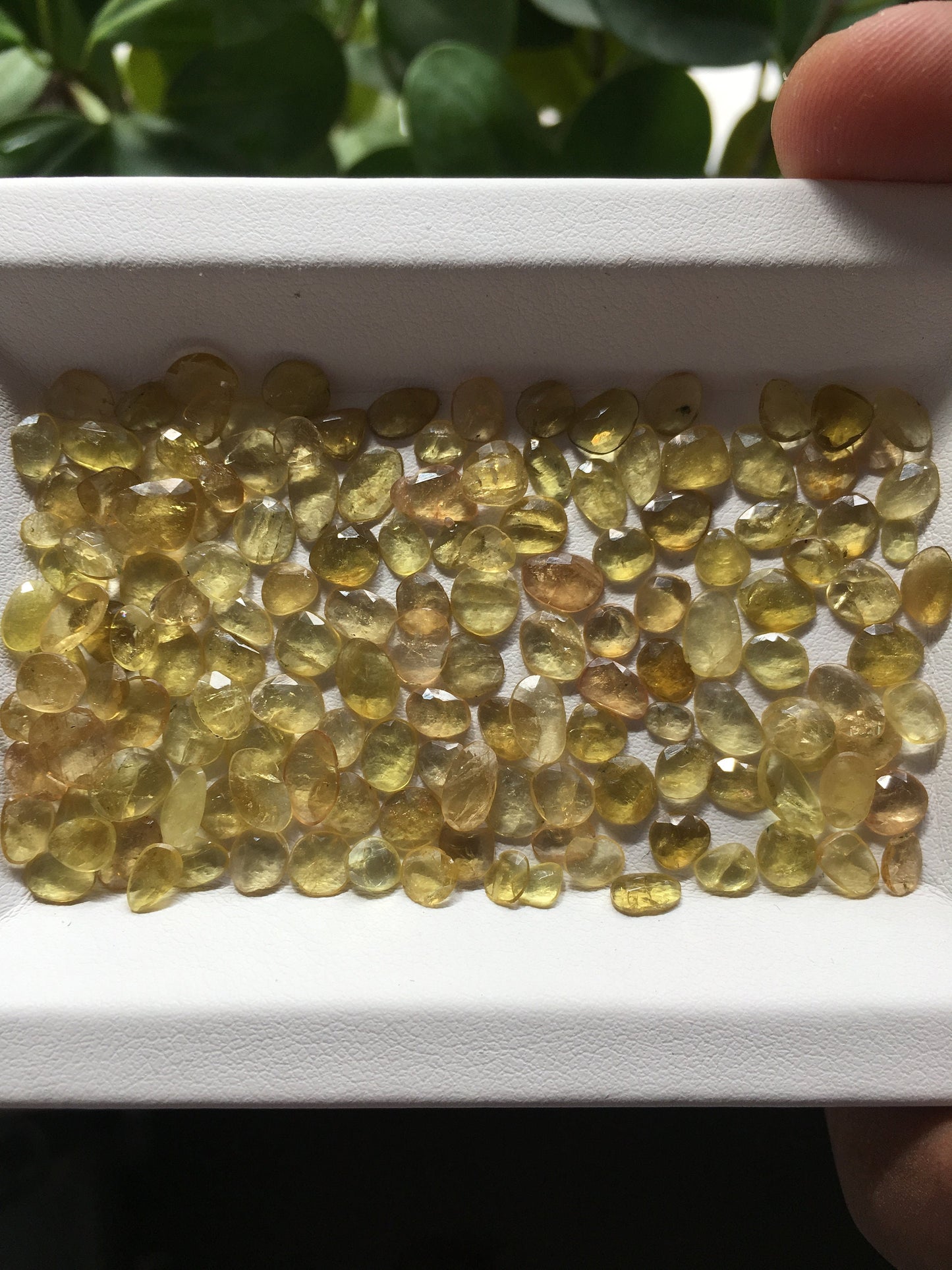 Awesome yellow tourmaline lot (unheated and untreated) size 4x3mm to 6.7x6mm 44.10 carats 152 Pcs