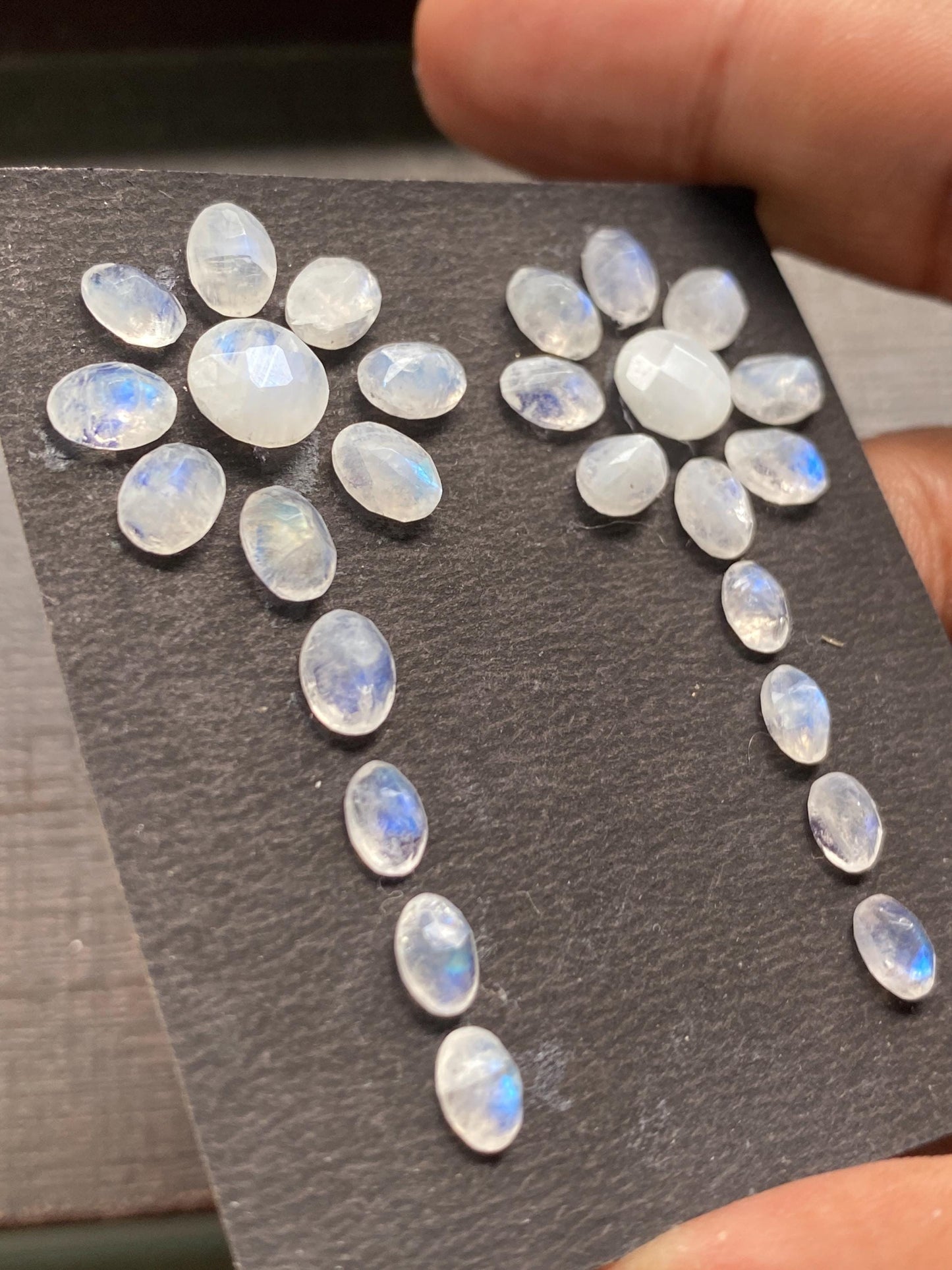 Lovely White rainbow moonstone earrings shape supply pcs 24 Size 6x4mm-8mm wt 19 carats beautiful wholesale lot white rainbow cut stone