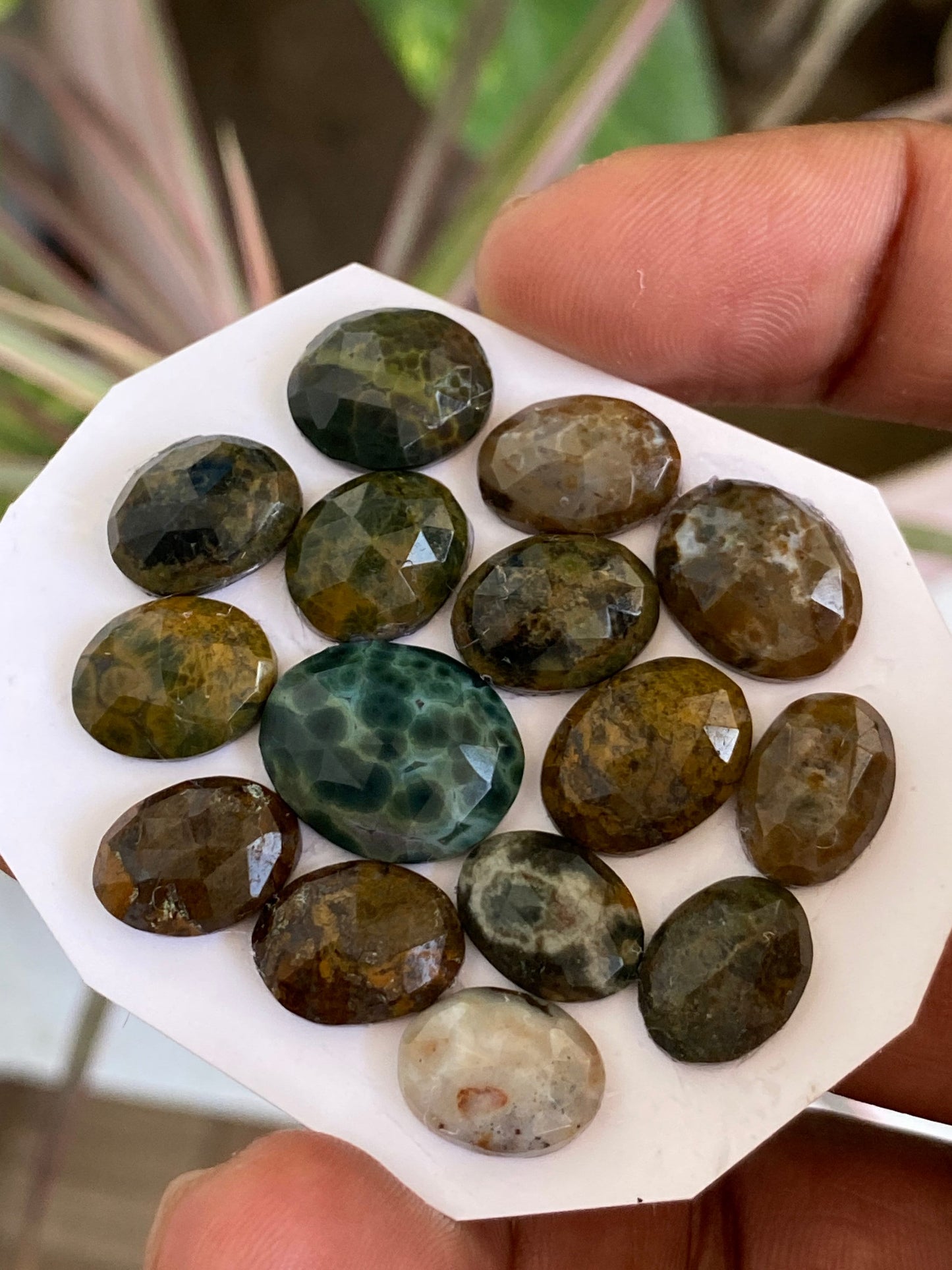 Fabulous fancy ocean jasper rosecut pear shape  fine quality pcs 17 wt 73 carats size 12x9-14x12mm amazing color fine quality