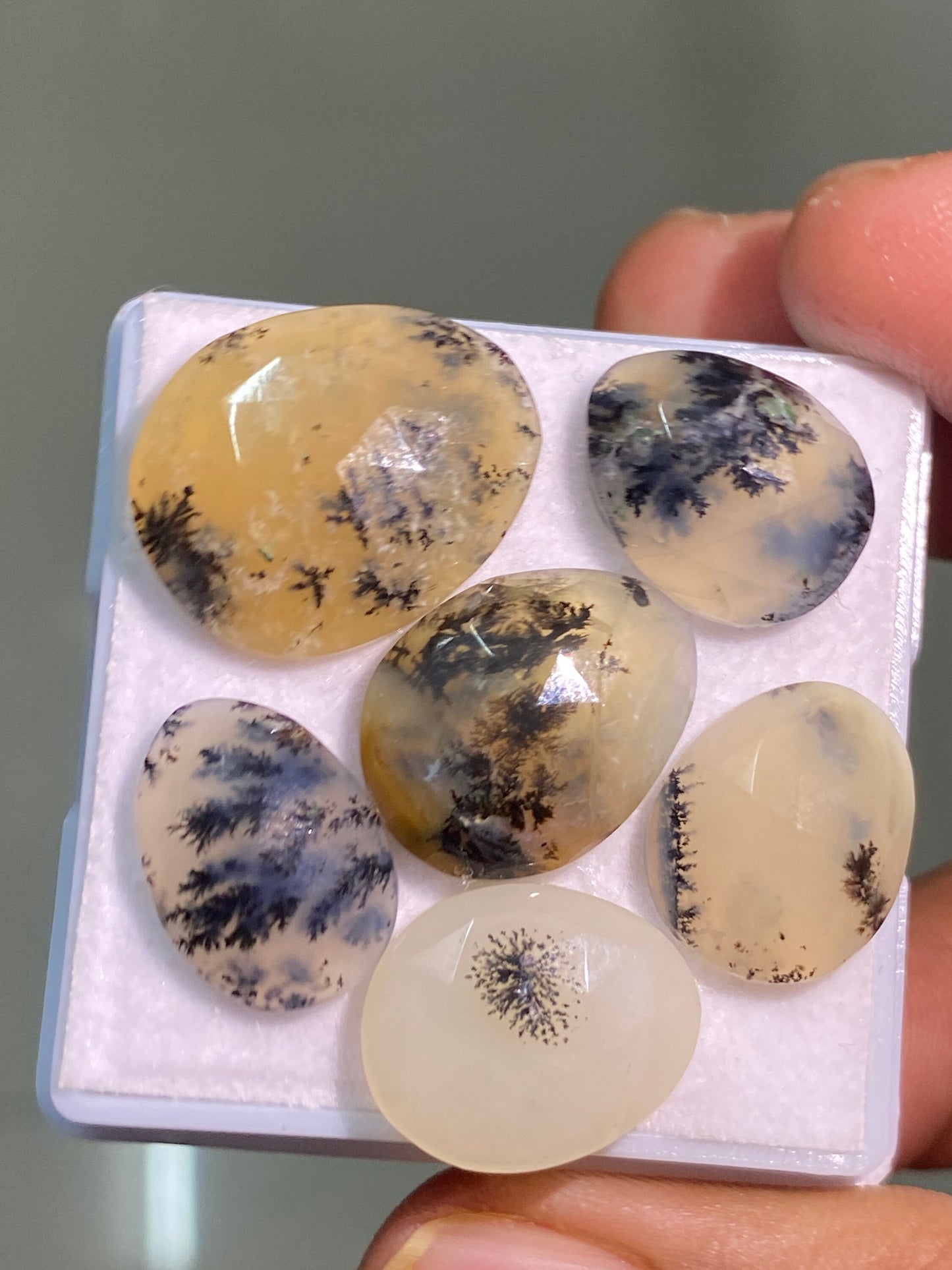 Fascinating honey dendritic quartz rosecut agate plant pattern ovalish shape rosecut size 15.5x11-20x16.5mm pcs 6 wt 38 carats dendrite