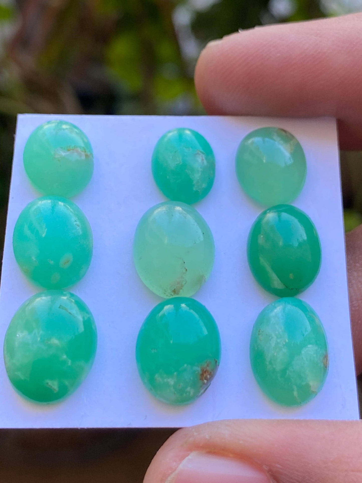 Rare stunning chrysoprase oval cabochons aaa fine quality pcs 9 weight 35 carats size 10.7x8.5mm-12.8x9.4mm chrysoprase rosecuts