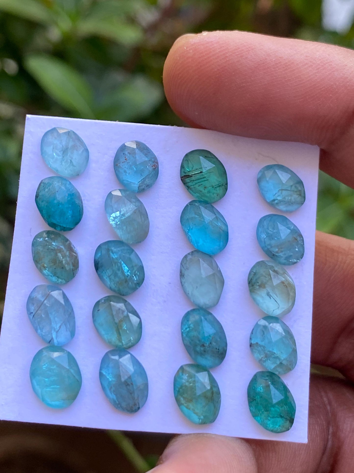 Gorgeous Blue green apatite rosecut wholesale lot weight 25.35 cts pcs 20 rosecut blue apatite flats Small size 7x6mm-9x6mm apatite rosecut