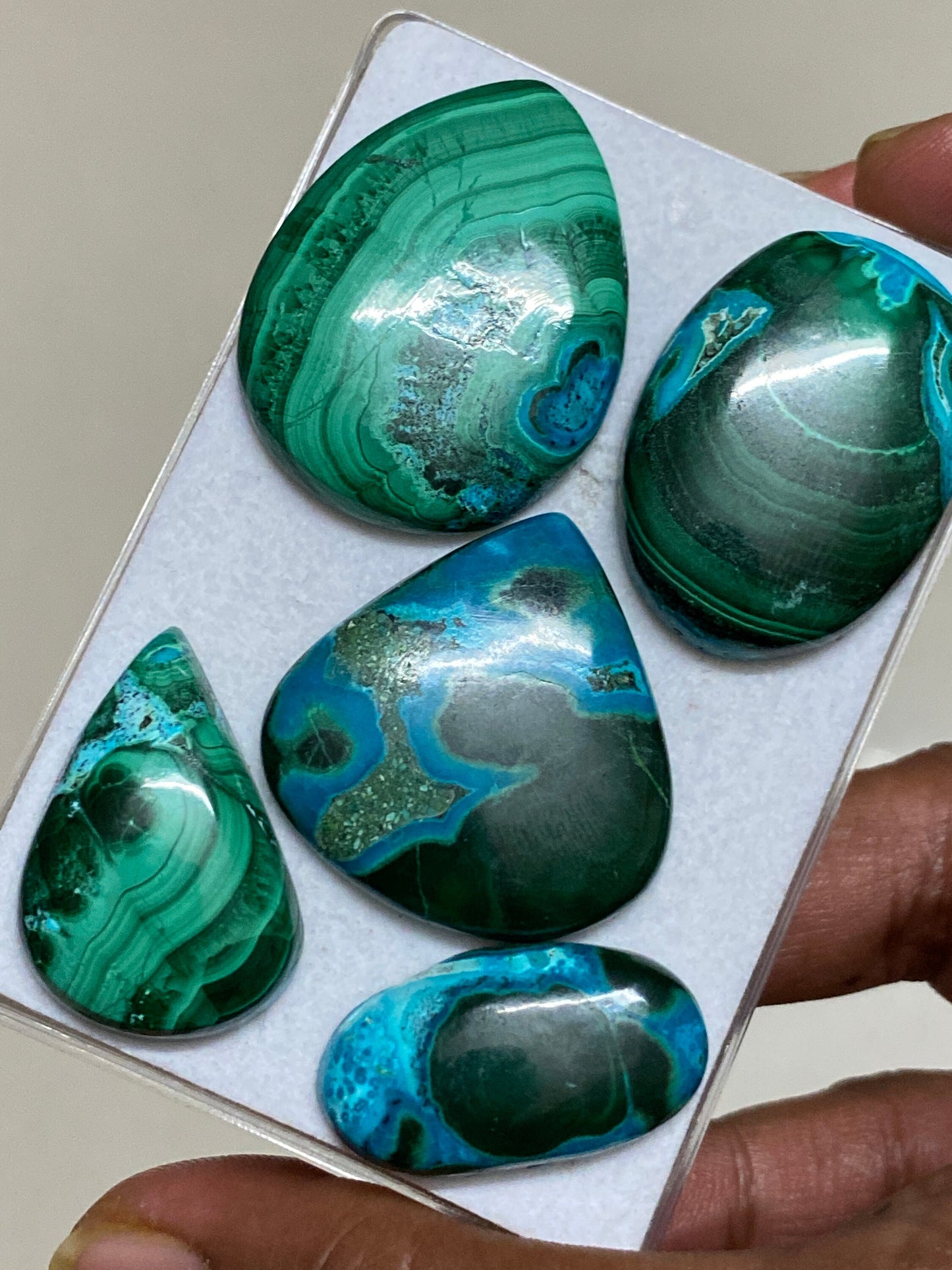 Amazing rare huge malachite chrysocolla cabochons wholesale lot weight 239 carats pcs 5 size flatback gems