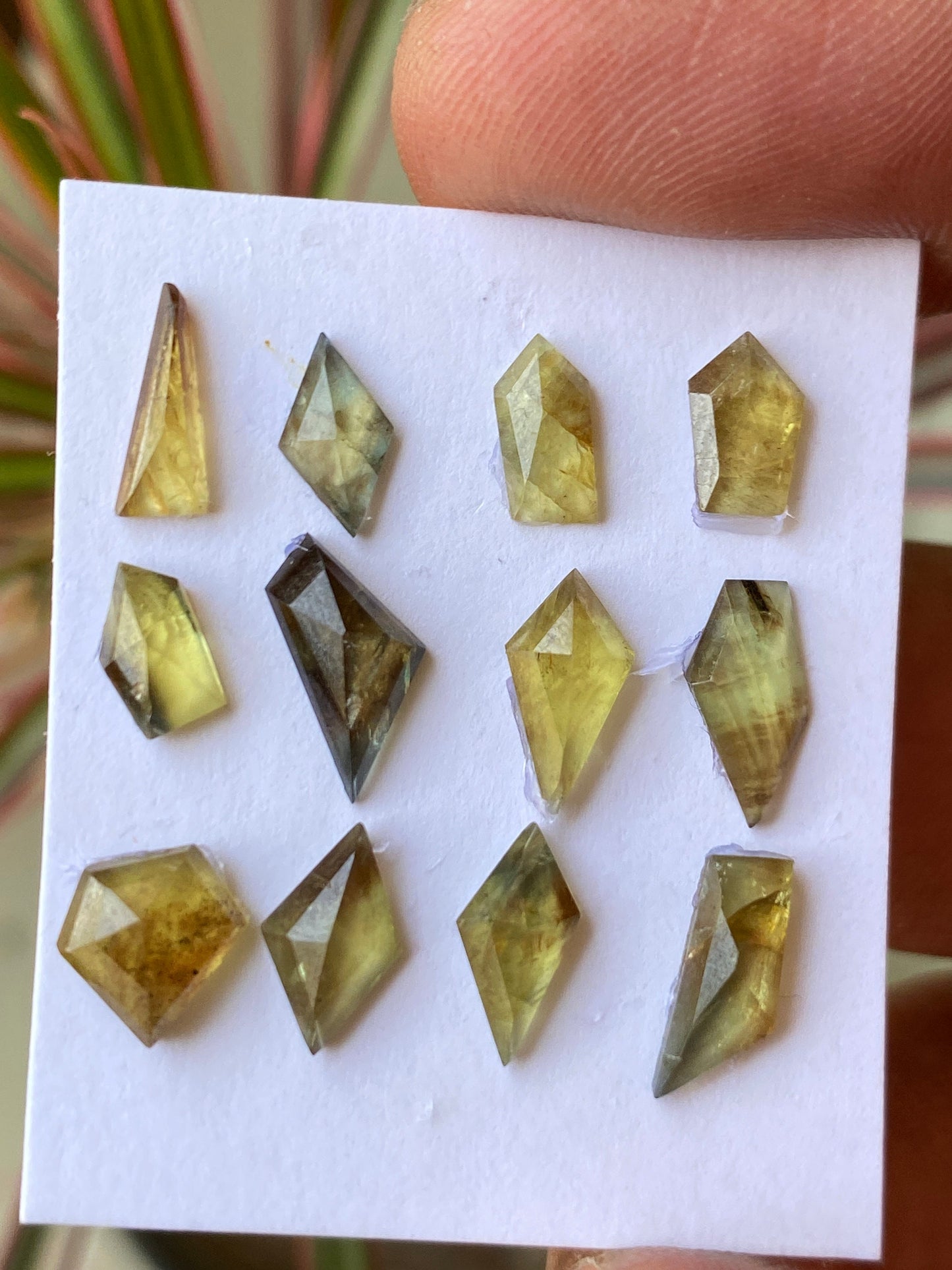 Mesmerising very rare Tanzania mines small yellow sapphire Bicolor geometric wt  carats pcs 12 size 5.5x4mm-9x7mm sapphire stepcut