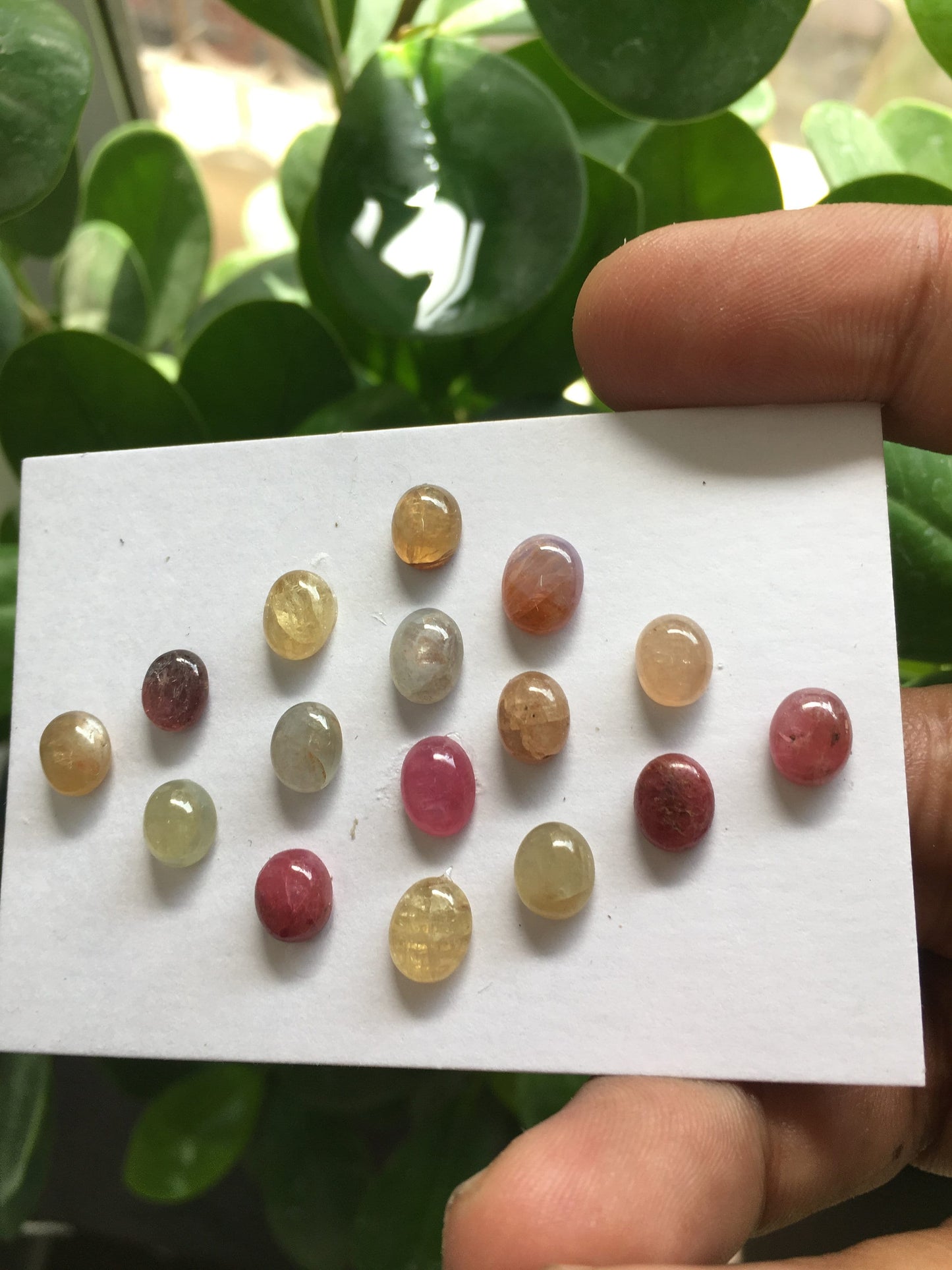 Multi  Sapphire Cabochons Natural umba sapphire Unheated Untreated Sapphire  weight 31.15 carats pcs 16 Size 7x5 mm to 8x6 mm good quality