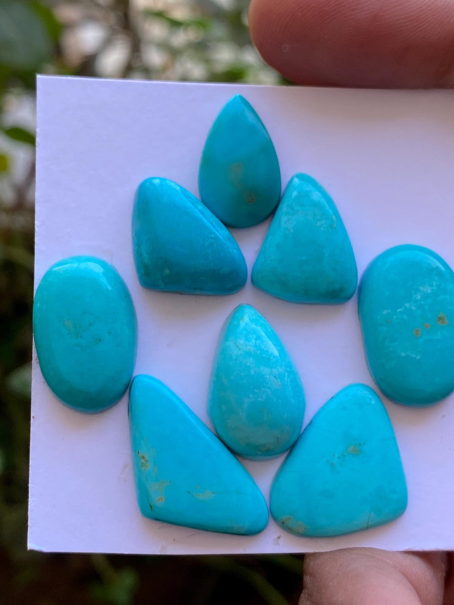 Amazing rare Arizona mines Turquoise cabochons flat natural smooth polished fancy pcs 8 wt 69.30 carats 17x11mm-25x13mm turquoise cabochons