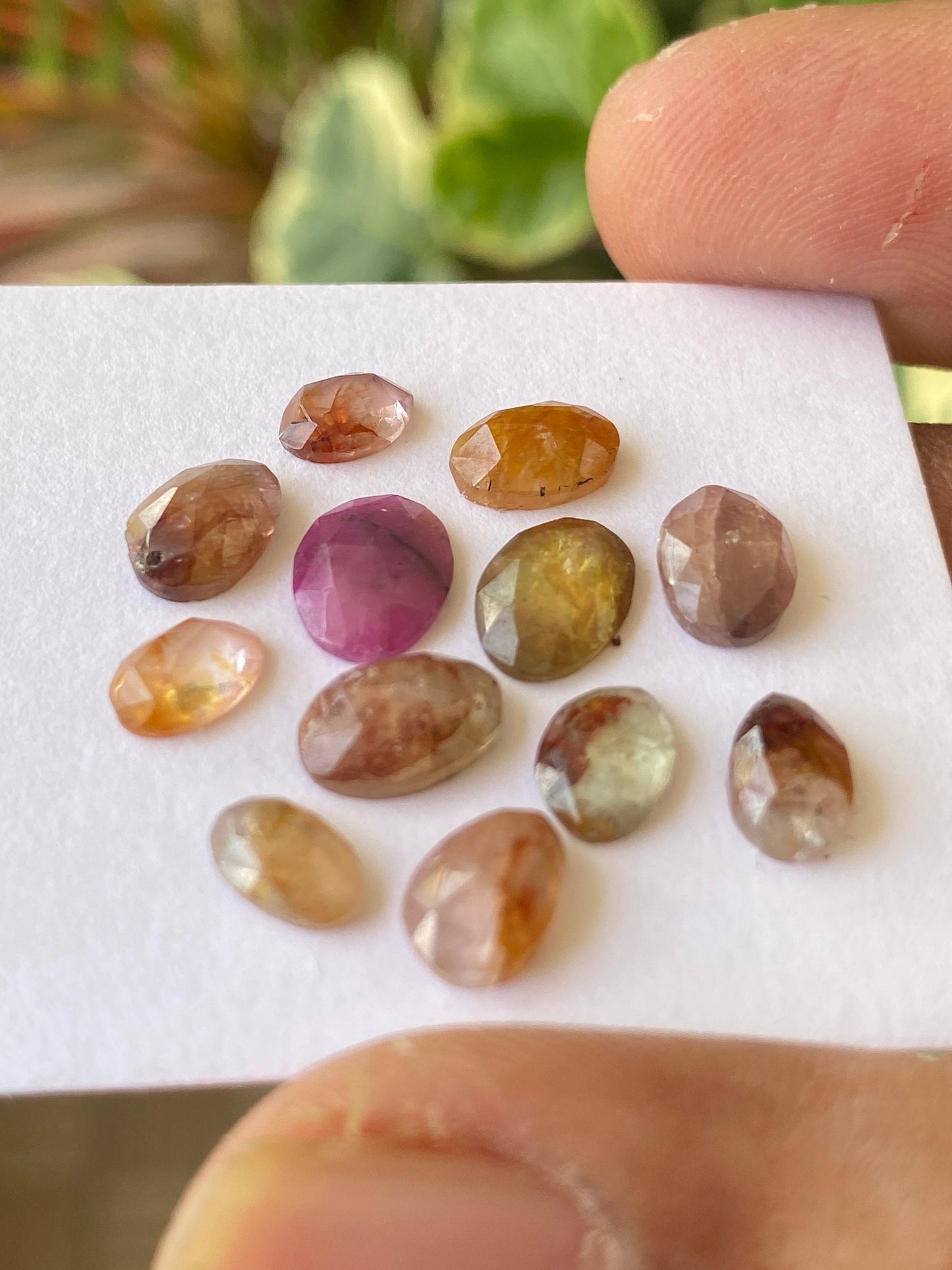 Marvellous Rare Bicolor Umba multi sapphire rosecuts weight 14 cts pcs 12 size 6x4mm-8x6mm Umba sapphire rosecut ovalish flatbacks