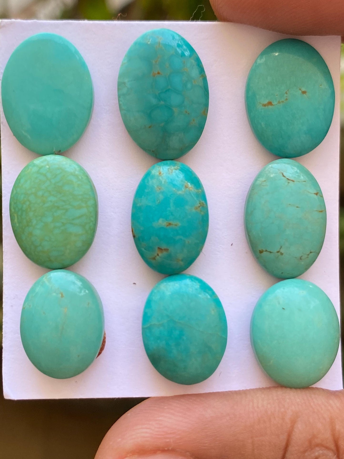 Vivacious rare Arizona  mines Turquoise cabochons  natural smooth polished ovals pcs 9 wt 65.20 carats 14x11-17x12mm turquoise cabochons