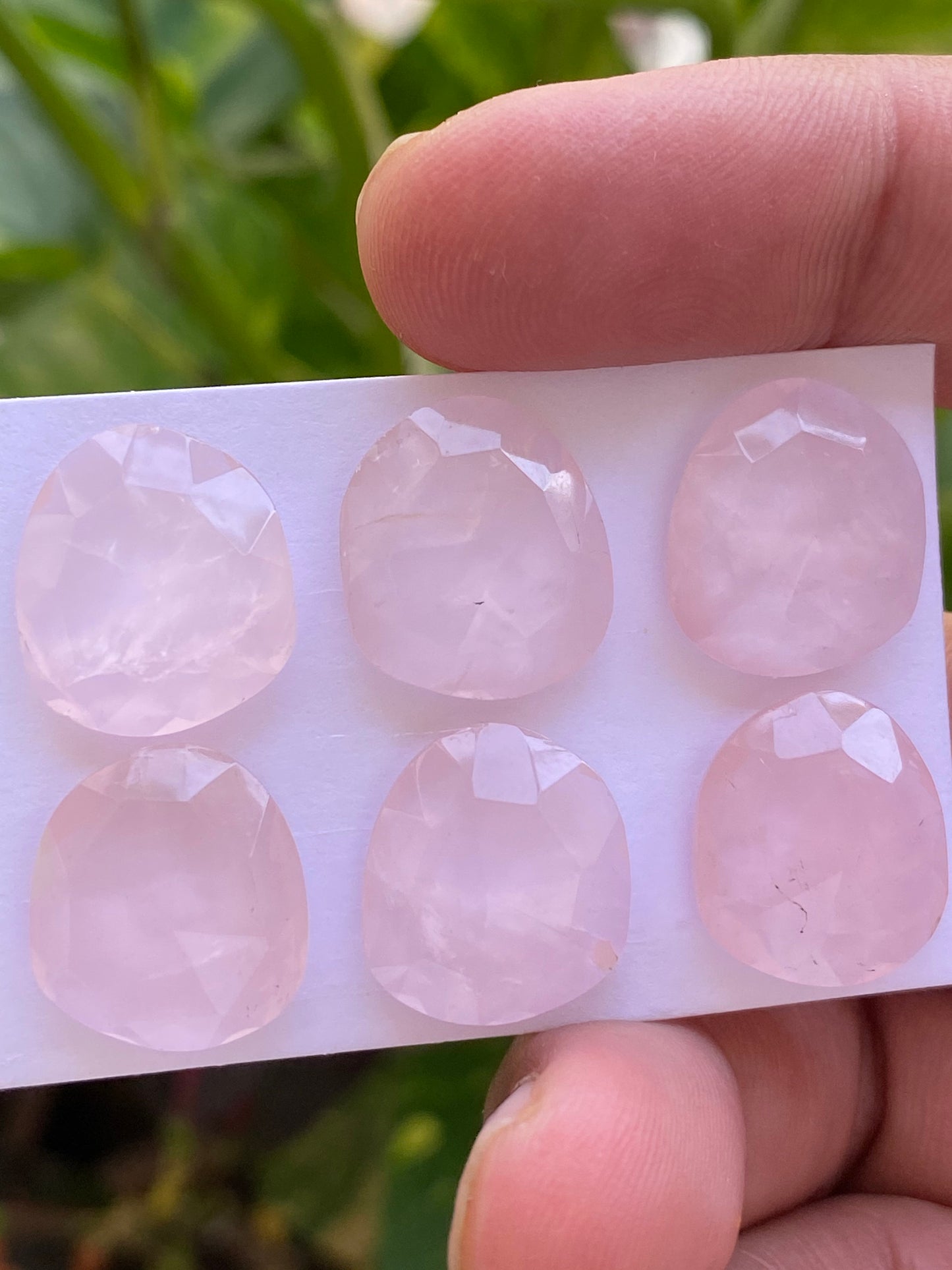 Dazzling rosequartz rose cut lot fancy oval fine quality weight 48 carats pcs 6 size 16.5x14.7mm rosecut rose quartz