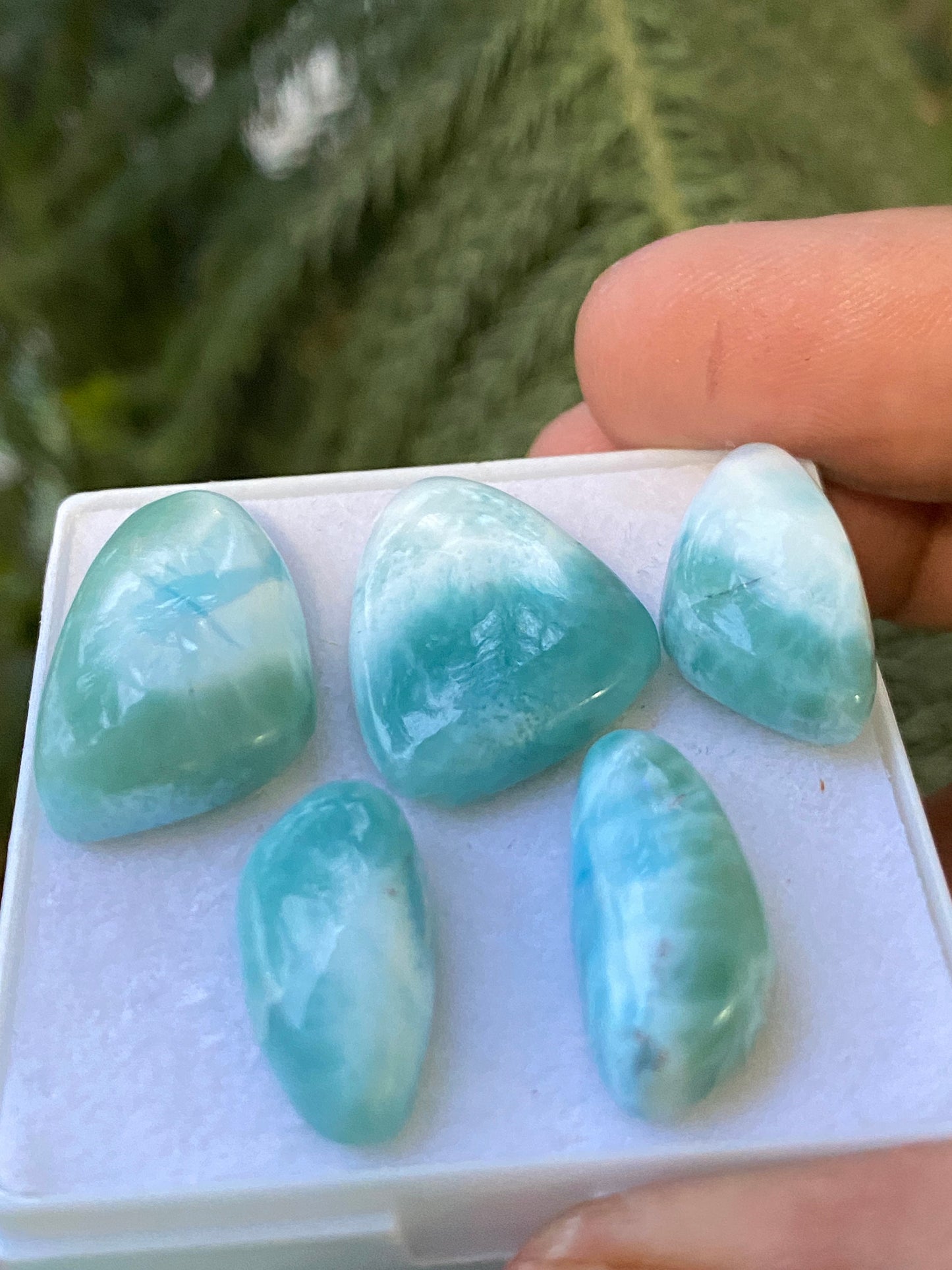 Dazzling rare Smooth Larimar cabochons pcs 5 pendant supply  wt 69 carats size 19x10-21x15mm  natural Larimar cabochons fancy shape