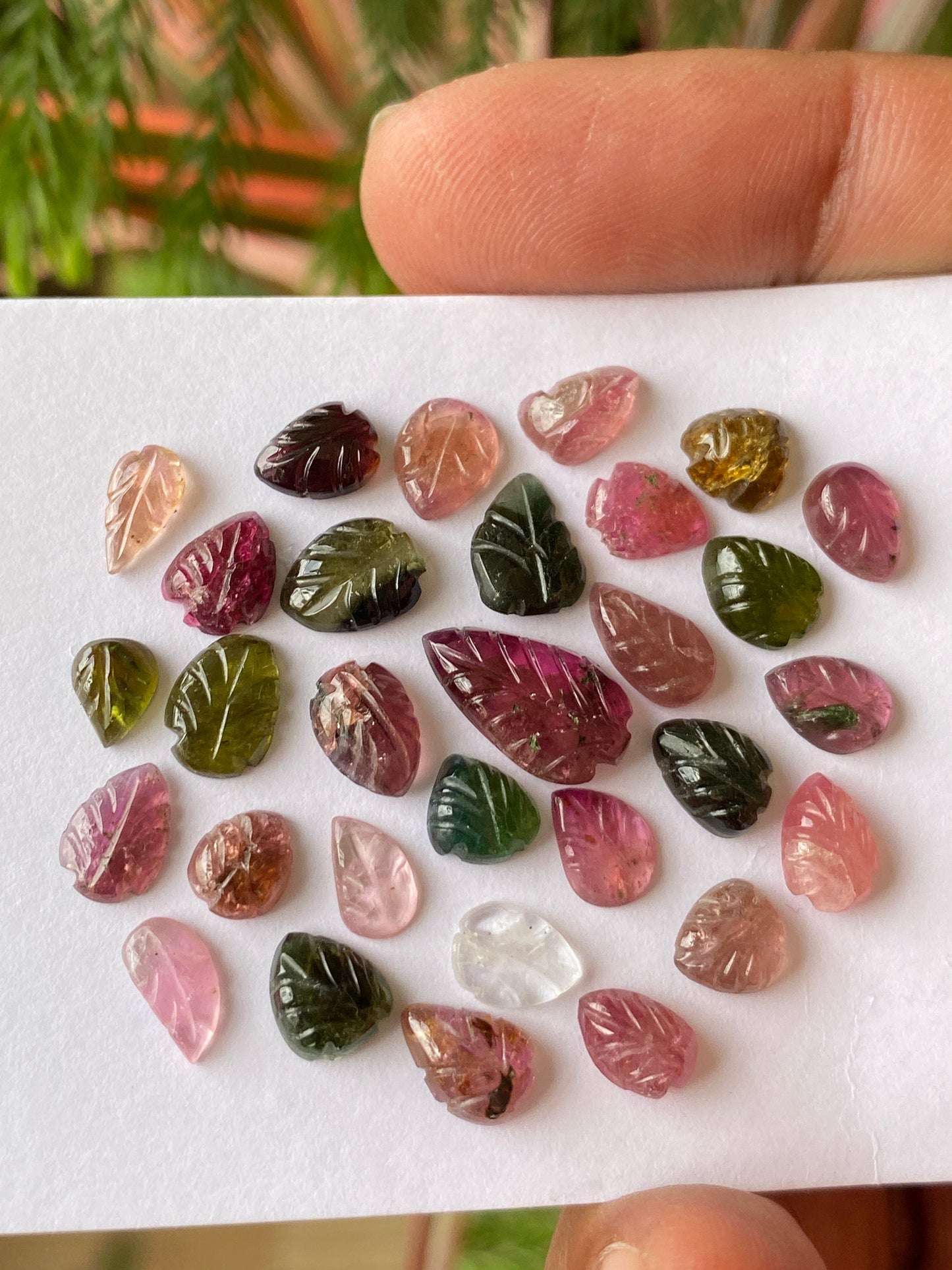 Watermelon tourmaline  leaves carving  multi tourmaline carvings wt 26 cts pcs 30 size 6x4mm-13x7mm tourmaline leaves