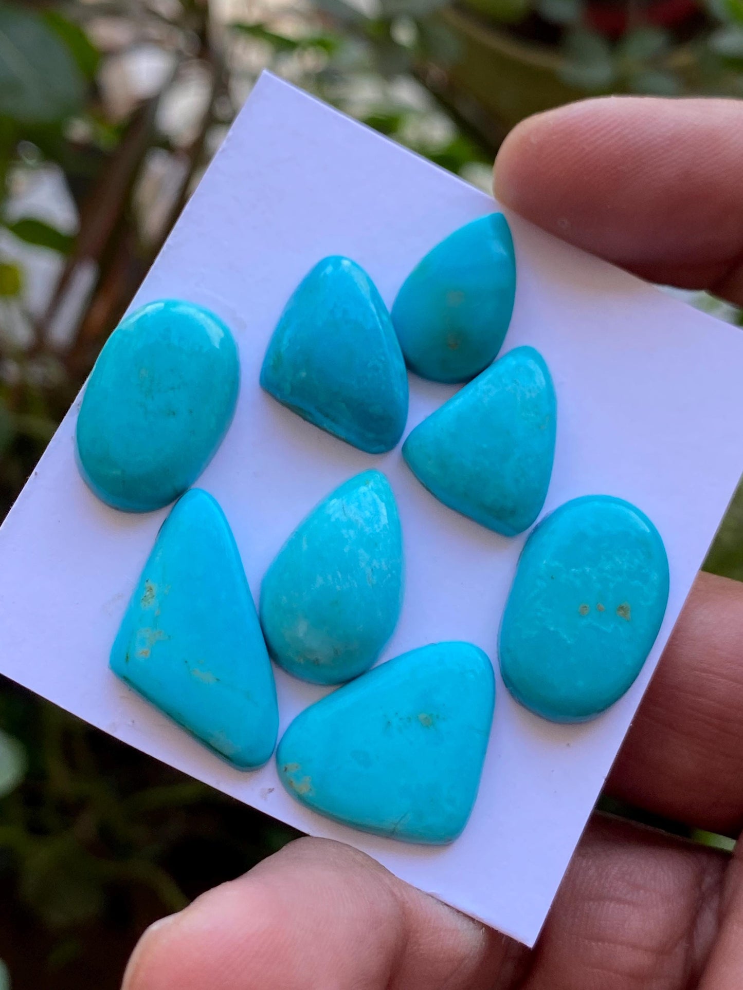 Amazing rare Arizona mines Turquoise cabochons flat natural smooth polished fancy pcs 8 wt 69.30 carats 17x11mm-25x13mm turquoise cabochons