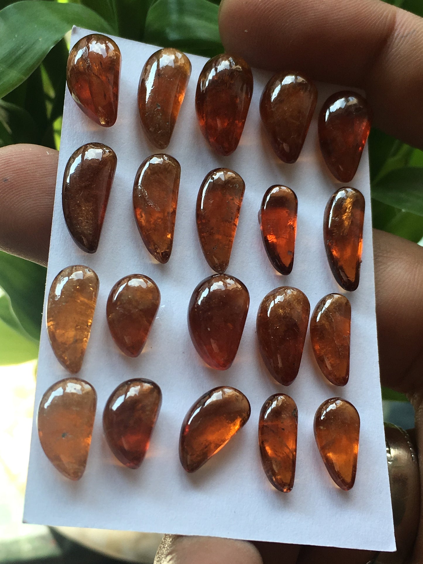 Attractive Hessonite tusks wholesale lot pcs 20 weight 117.75 carats size 12x7mm to 16.3x8.5mm Hessonite garnet tusks for pendants