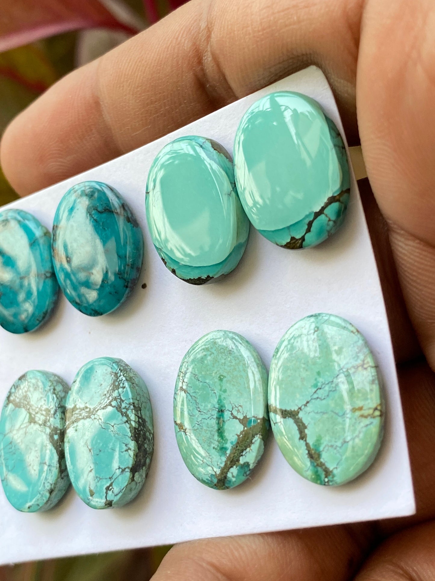 Rare Turquoise pair natural hubei mines rare pattern  smooth turquoise pcs 8 wt 73 carats size 18x14-19x13.5mm turquoise earrings supply