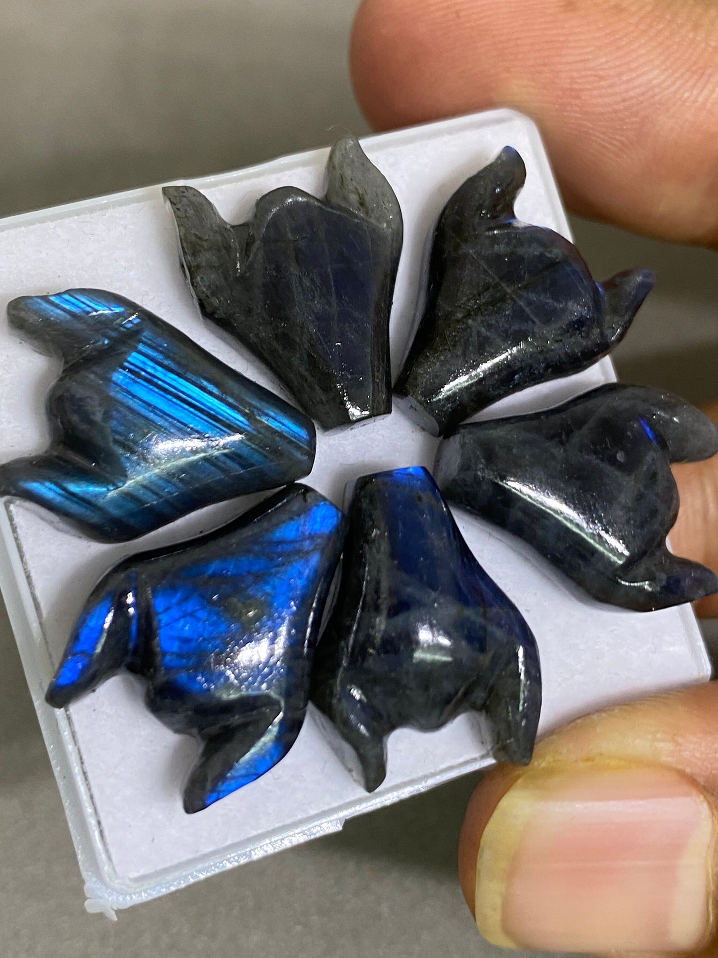 Fascinating rare Black rainbow labradorite bull head carving  blue fire smooth polished pcs 6 wt 41 cts size  labradorite bull head