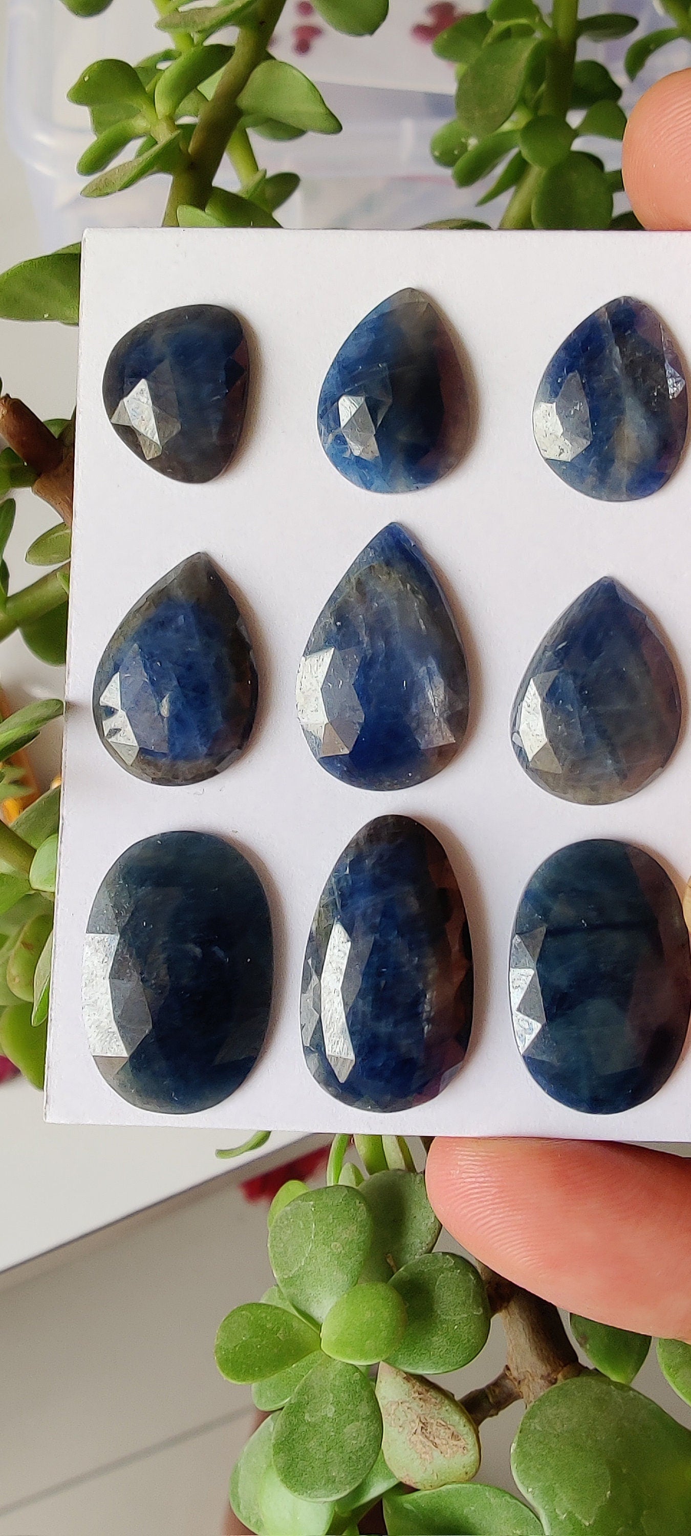 Beautiful Rare Natural unheated untreated blue sapphire rosecut pear shape 15x12mm-23x15mm wt 98 carats pcs 9  unheated sapphire rosecuts