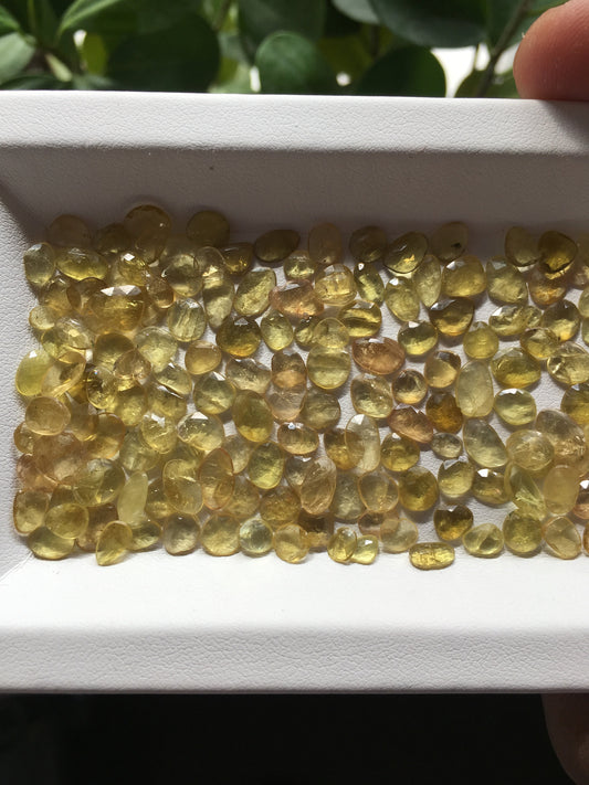 Awesome yellow tourmaline lot (unheated and untreated) size 4x3mm to 6.7x6mm 44.10 carats 152 Pcs