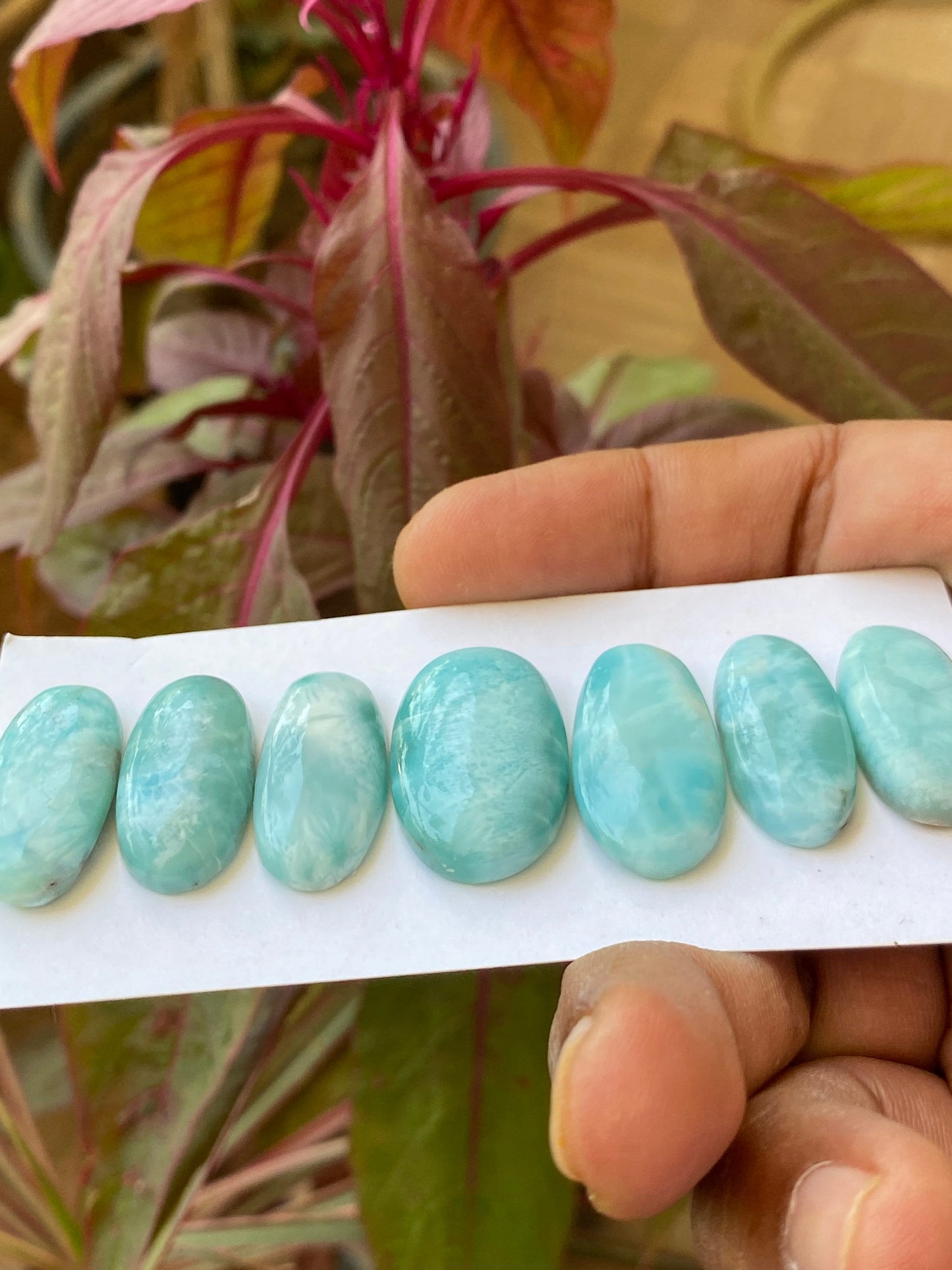 Stunning rare aaa Larimar cabochons bracelet supply ovalish shape  wt 128 carats  pcs 7 size 23x11-26x16mm natural Larimar cabochons