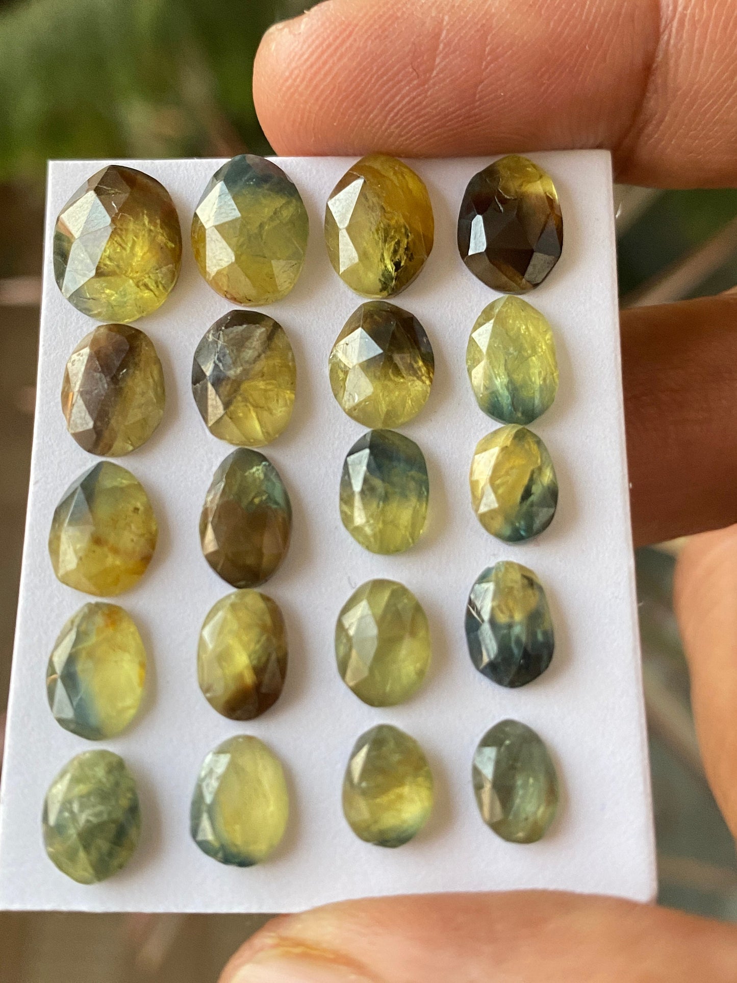 Dazzling rare Nigerian sapphire rosecut colorful Bicolor yellow sapphire lot pcs 20 wt 36 cts size 7x5mm-11x9mm rosecut sapphire