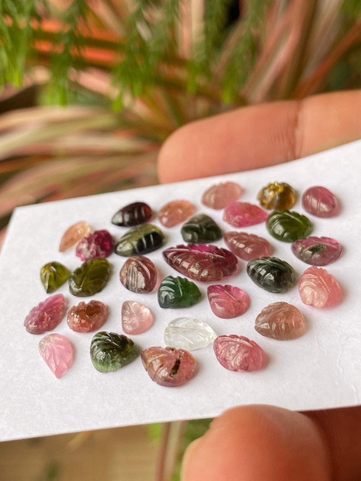 Watermelon tourmaline  leaves carving  multi tourmaline carvings wt 26 cts pcs 30 size 6x4mm-13x7mm tourmaline leaves