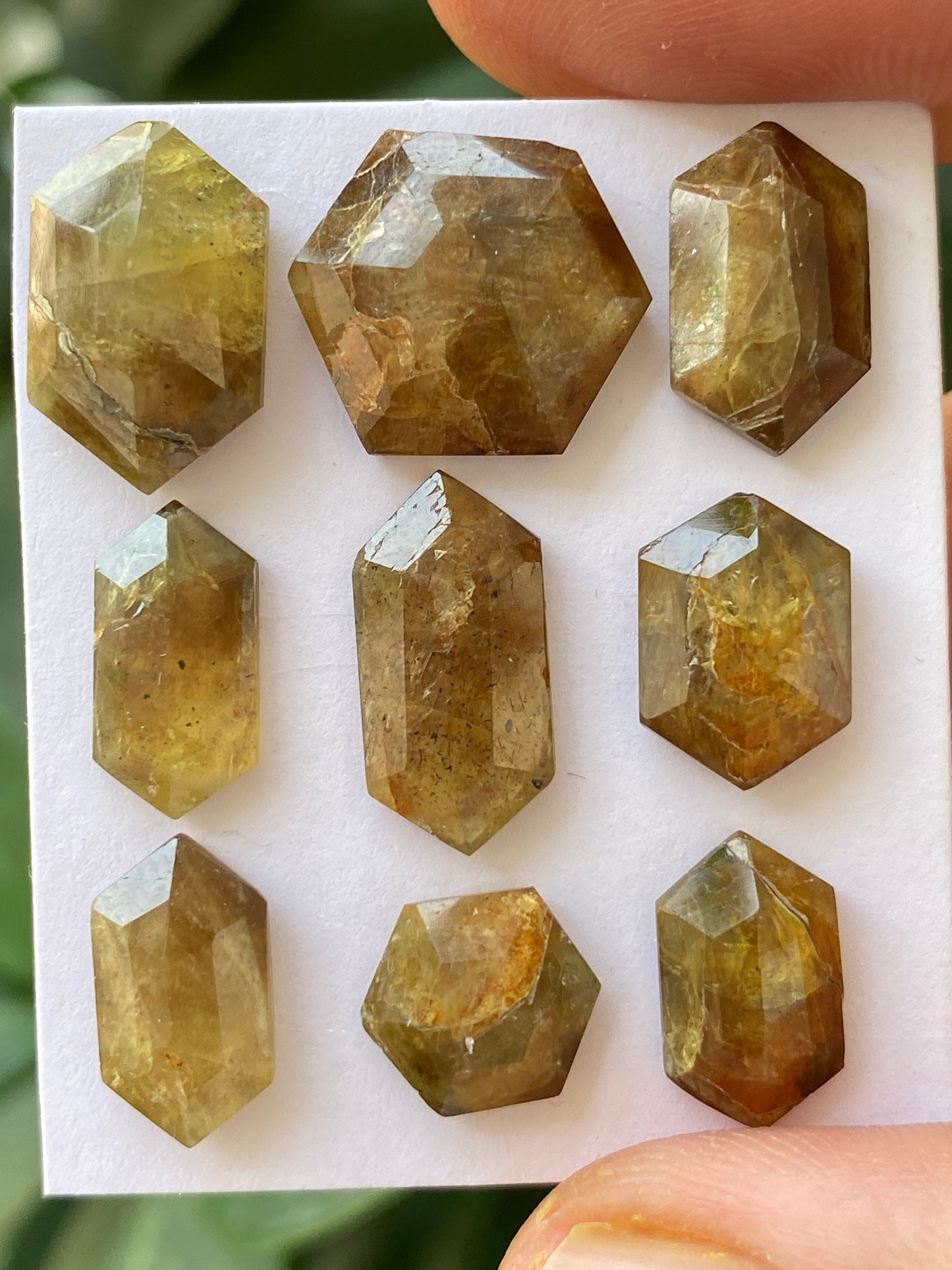 Stunning very rare big yellow golden sapphire hexagon sheen sapphire wt 43.50 carats pcs 9 size 9mm-13.5x13mm  rare sapphire hexagon stepcut