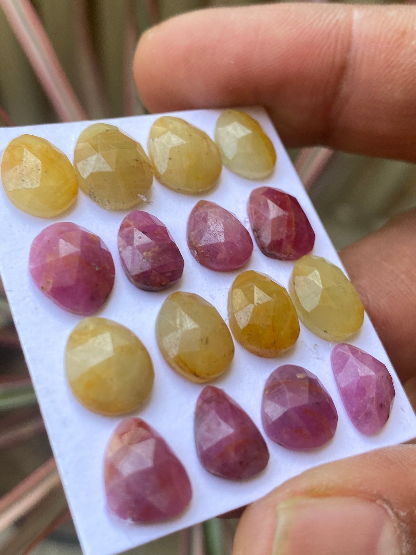 Cute very rare natural multi yellow  sapphire ruby rosecut lot oval pcs 16 wt 45 cts size 9.8x7.8mm-11x9mm  rosecut pink multi sapphire