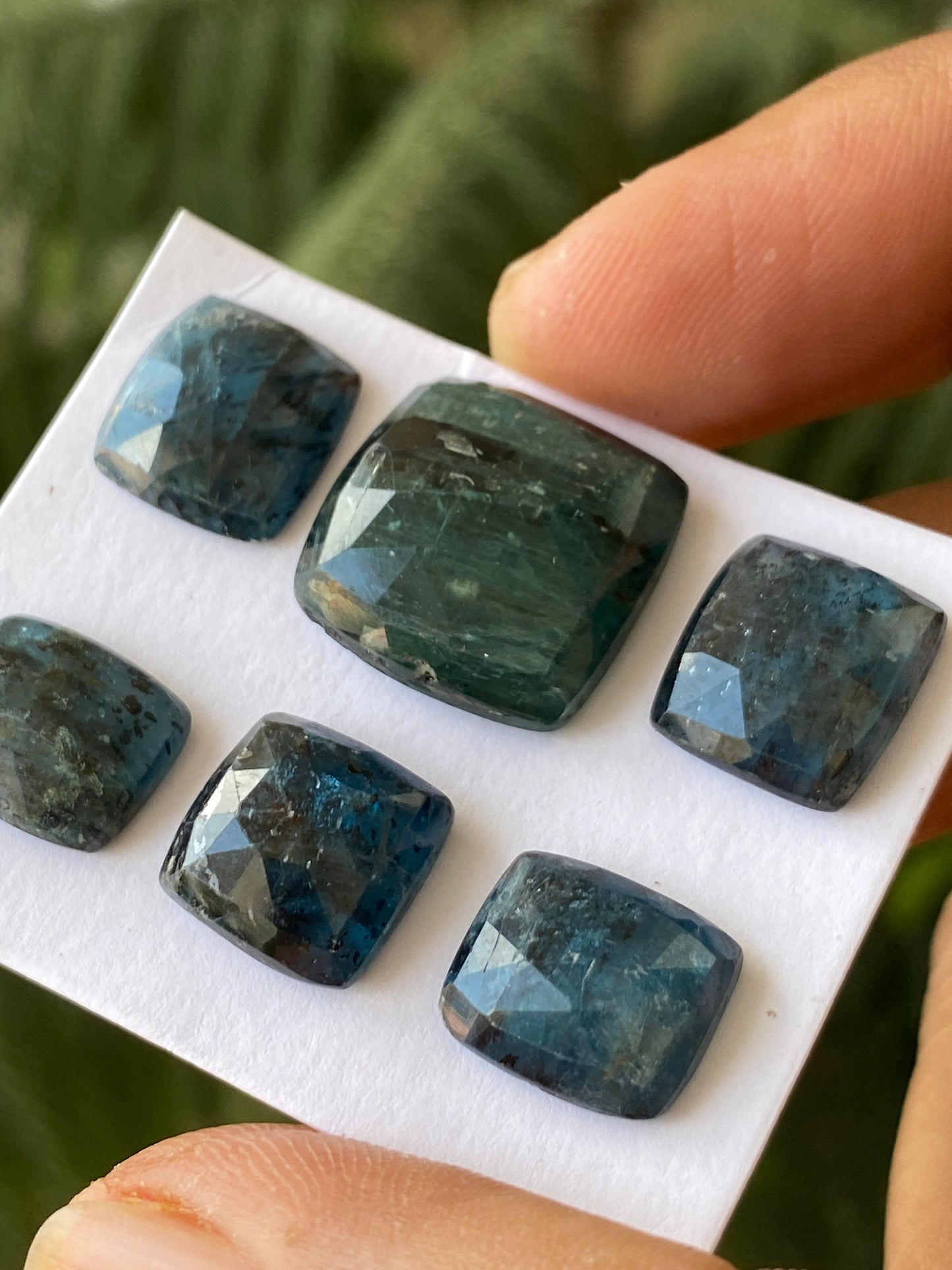 Dazzling rare moss teal blue kyanite rosecut cushion fine quality lovely color wt 60 cts pcs 6 good size 12x10-17mm rosecut kyanite