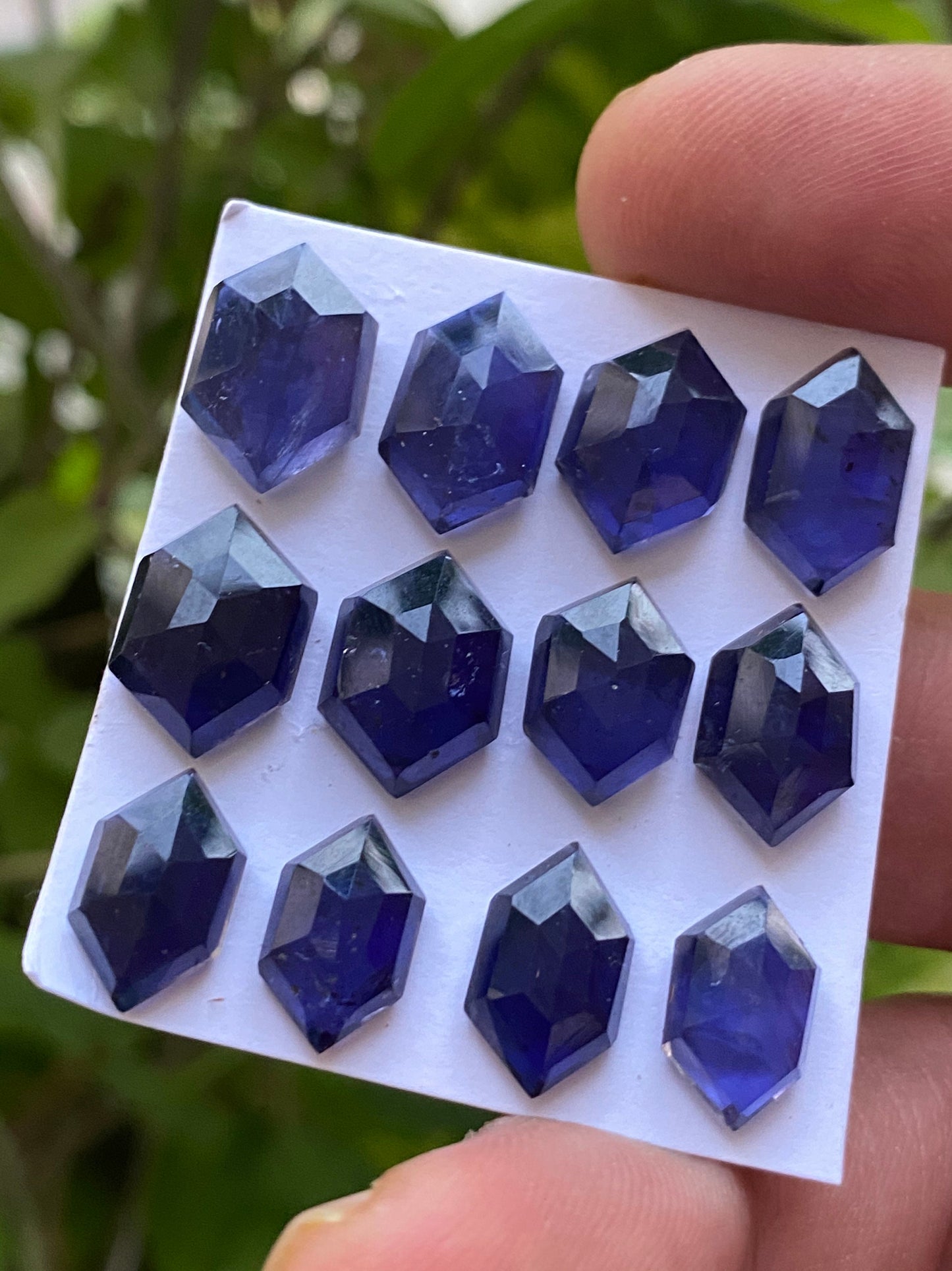 AAA quality Iolite hexagon step cuts weight 39 cts pcs 12 size 12x7.3mm-14.6x9.7mm Iolite stepcut hexagon