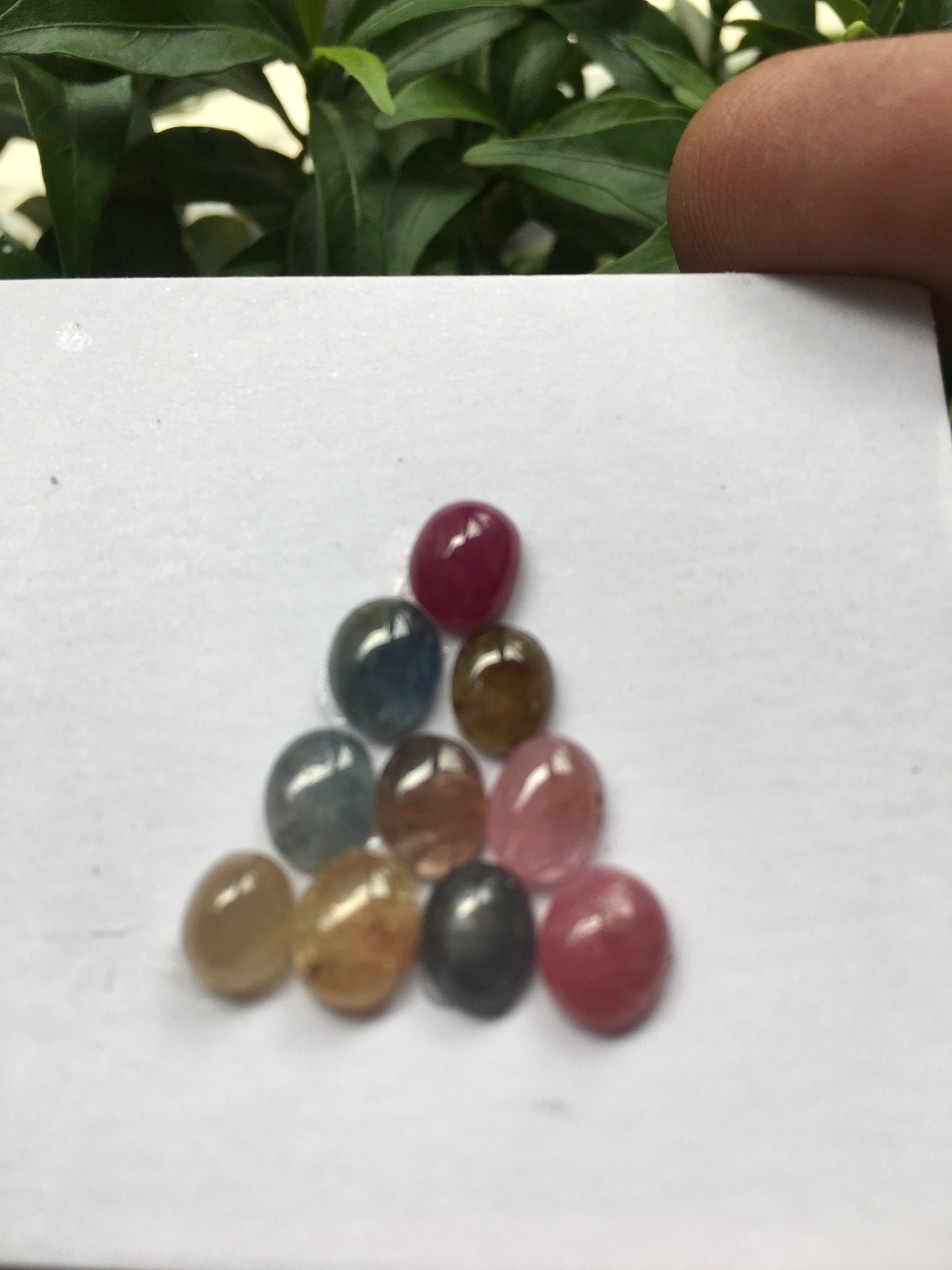 Very rare captivating Umba natural sapphire unheated untreated sapphire cabochons weight 14.05 carats size 6x5mm to 7x6mm pcs 10