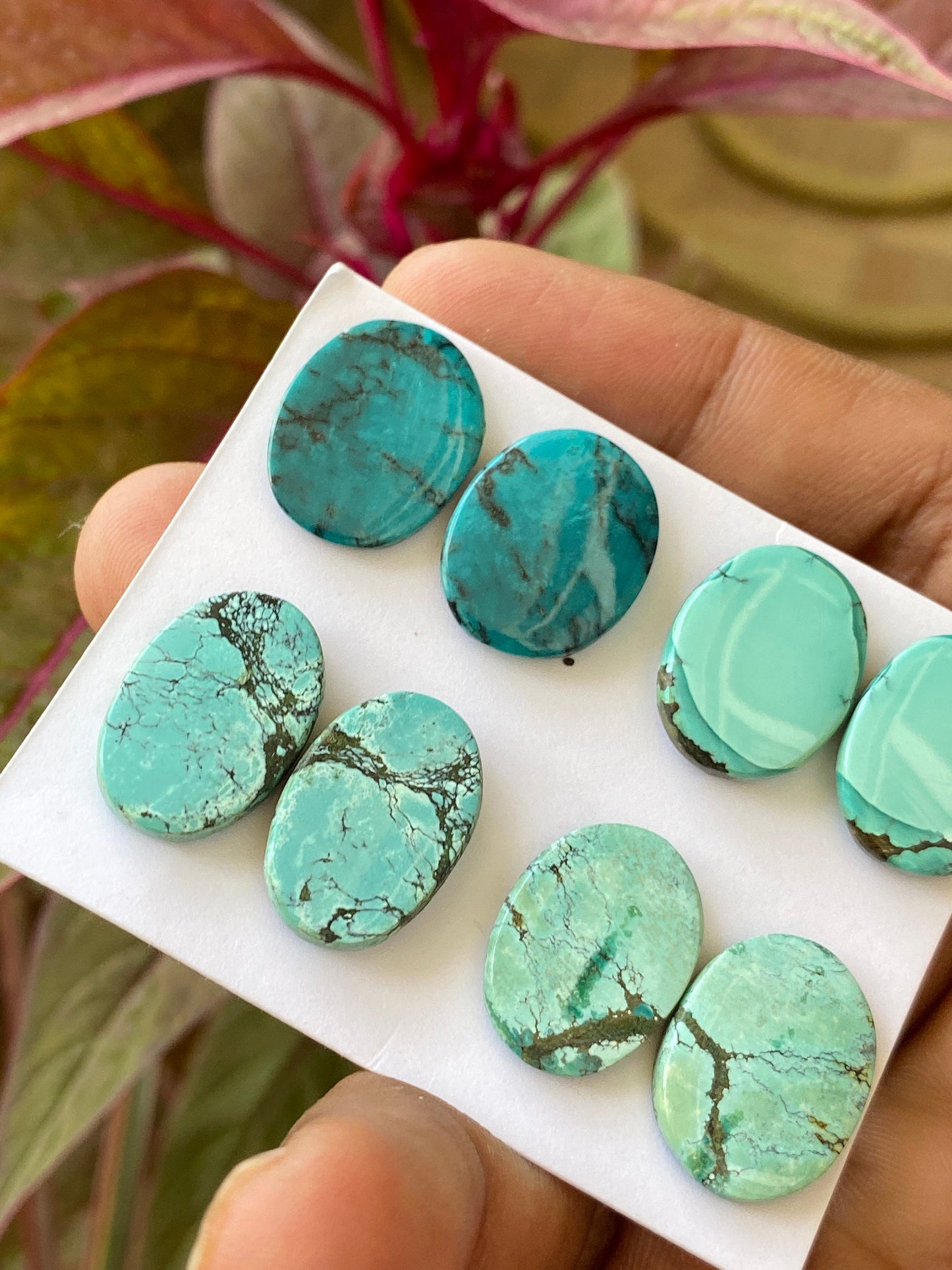 Rare Turquoise pair natural hubei mines rare pattern  smooth turquoise pcs 8 wt 73 carats size 18x14-19x13.5mm turquoise earrings supply