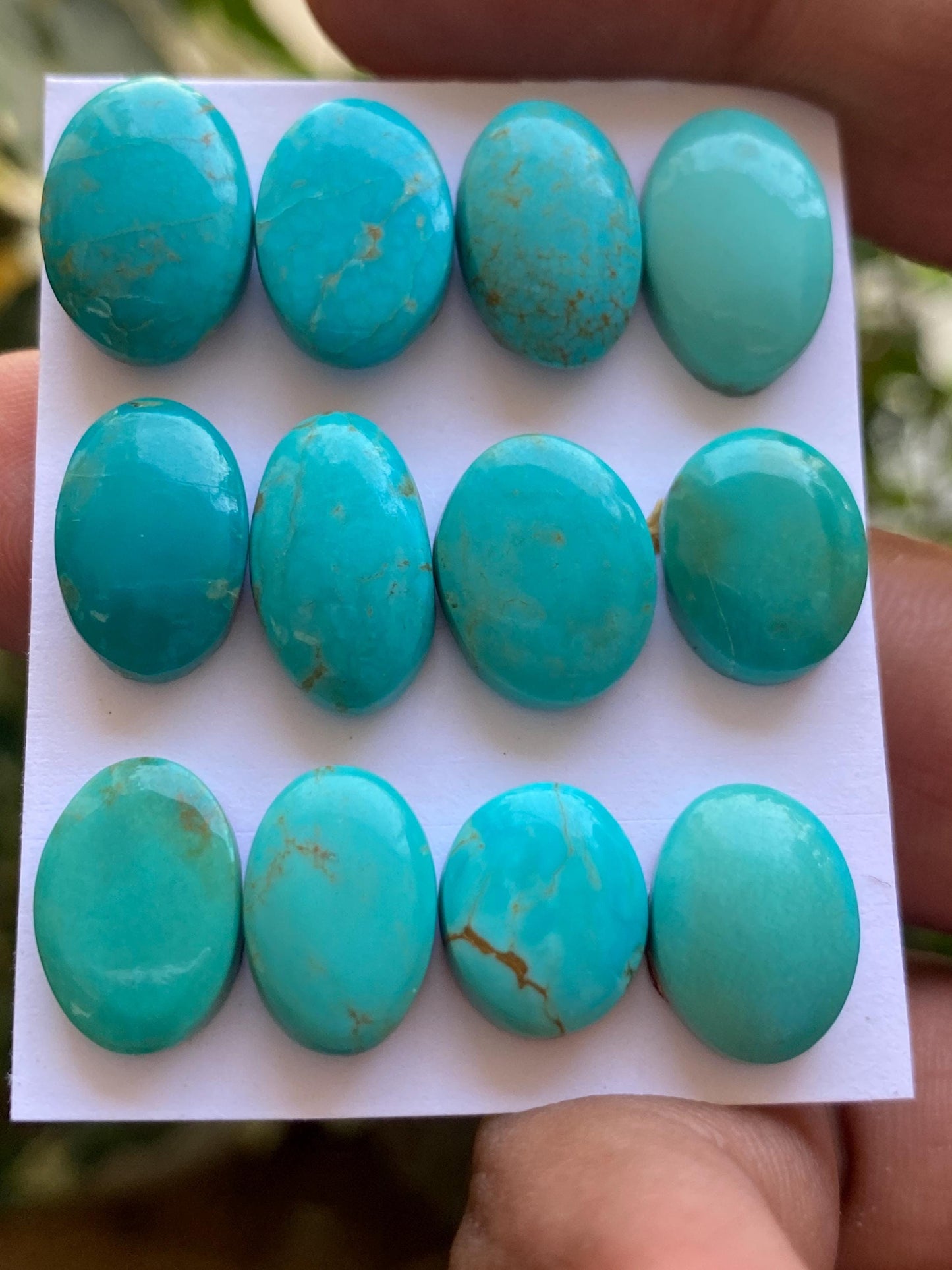 Mesmerising rare Arizona  mines Turquoise cabochons  natural smooth polished ovals pcs 12 wt 67 carats 12x10mm-16x11mm turquoise cabochons