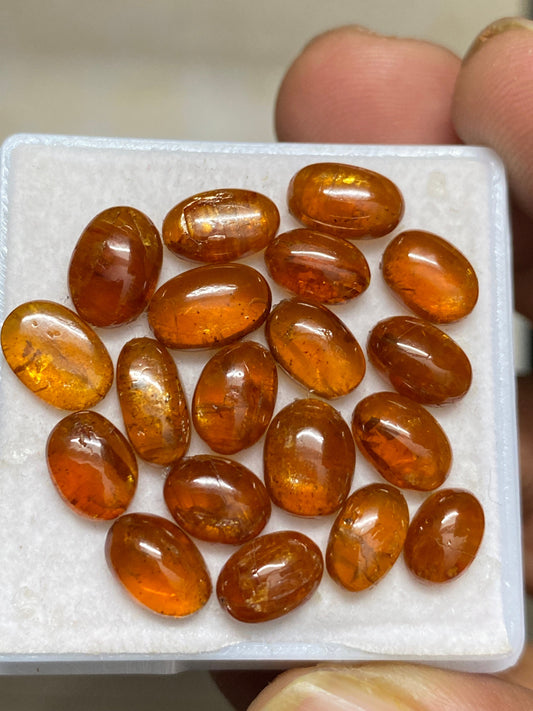 Lovely rare  orange kyanite oval cabochons smooth polished fine quality wt 34 cts size 9.5x6.5-7.7x6mm pcs 19 orange kyanite oval smooth cab