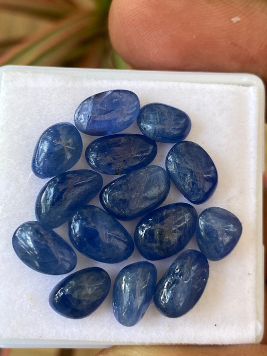 Gorgeous Natural Burma Very Rare Blue sapphire flat unshape cabochons size 9.2x6.2-10x6mm wt 38.5 cts pcs 14 Burma mines sapphire cabochon