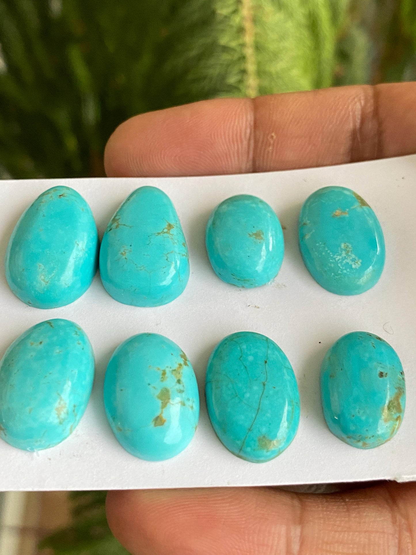 Stunning rare Arizona mines Turquoise cabochons  natural smooth polished ovals pcs 8 wt 91 carats 17x12-22x14mm turquoise cabochons oval