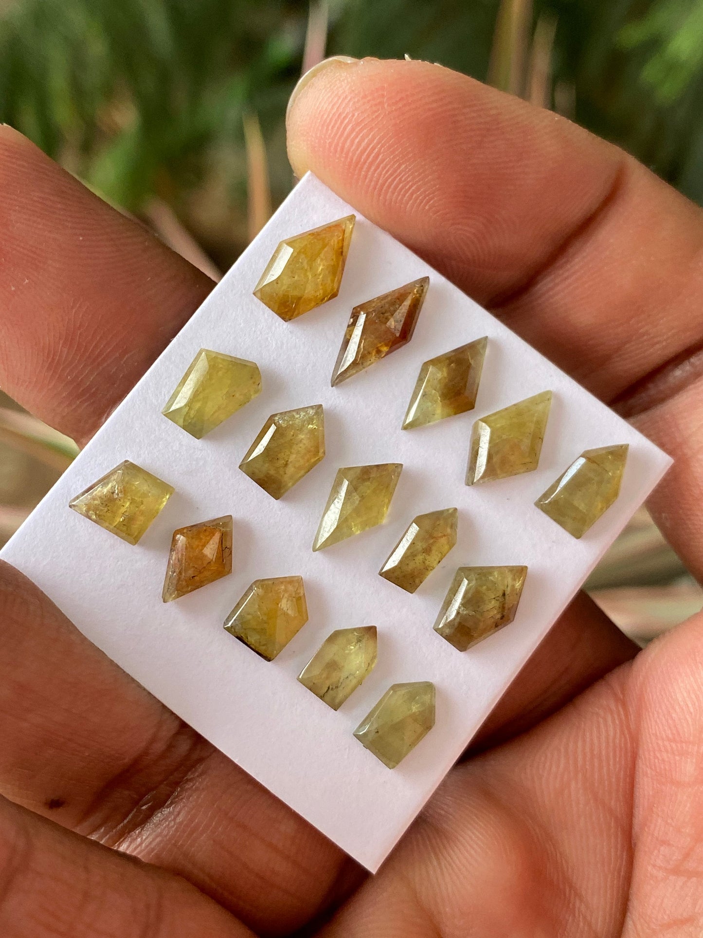 Mesmerising very rare Tanzania mines small yellow sapphire Bicolor geometric wt 17 carats pcs 15 size 7.3x5.5mm-11x6.5mm sapphire stepcut