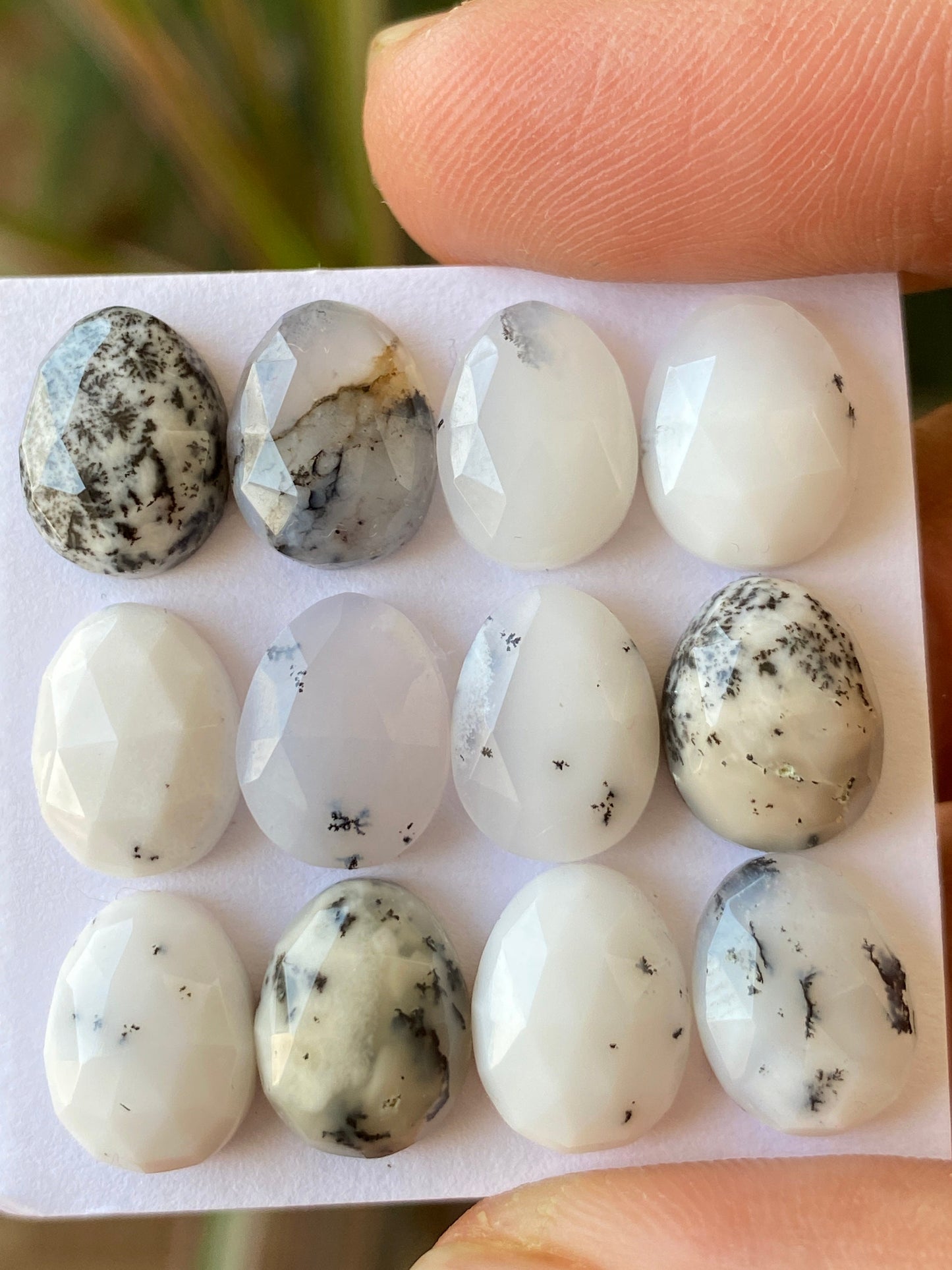 Amazing rare fancy dendrite agate egg shape rosecut flats wt 44 carats size 11x8mm-12x9mm pcs 12 rosecut gems