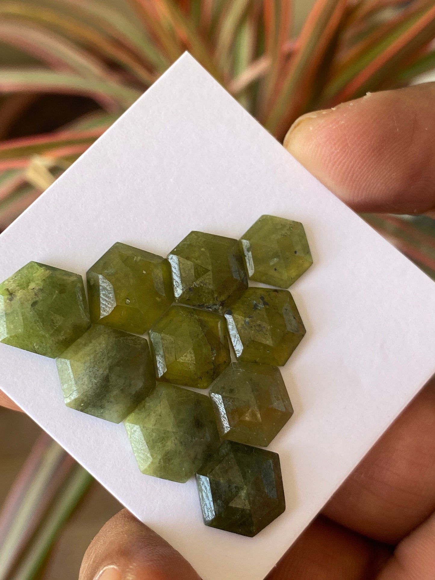 Lovely  vesuvianite hexagon stepcut wholesale lot weight 39 carats pcs 10 size 10mm-12mm flatback gems